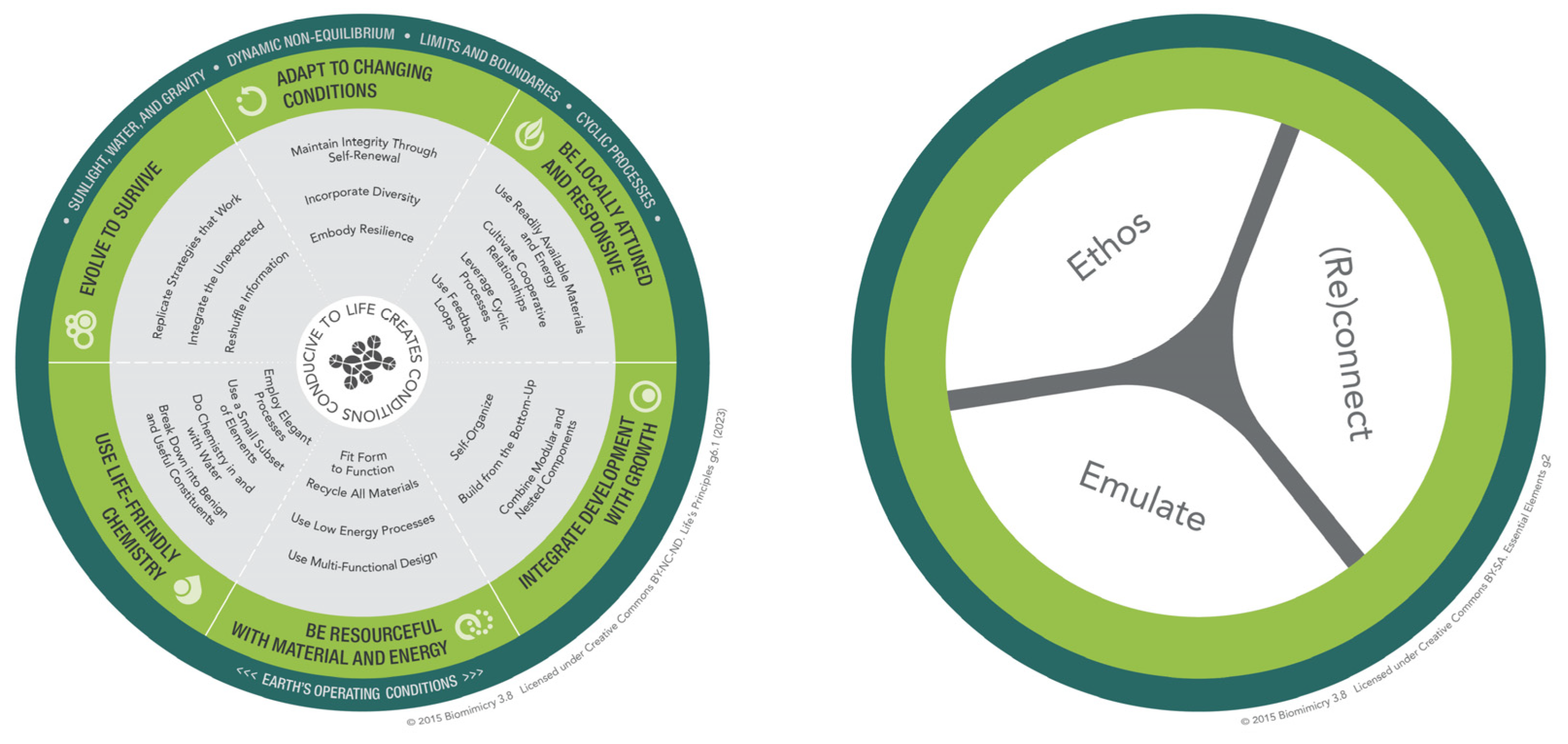Biomimetics 10 00369 g005