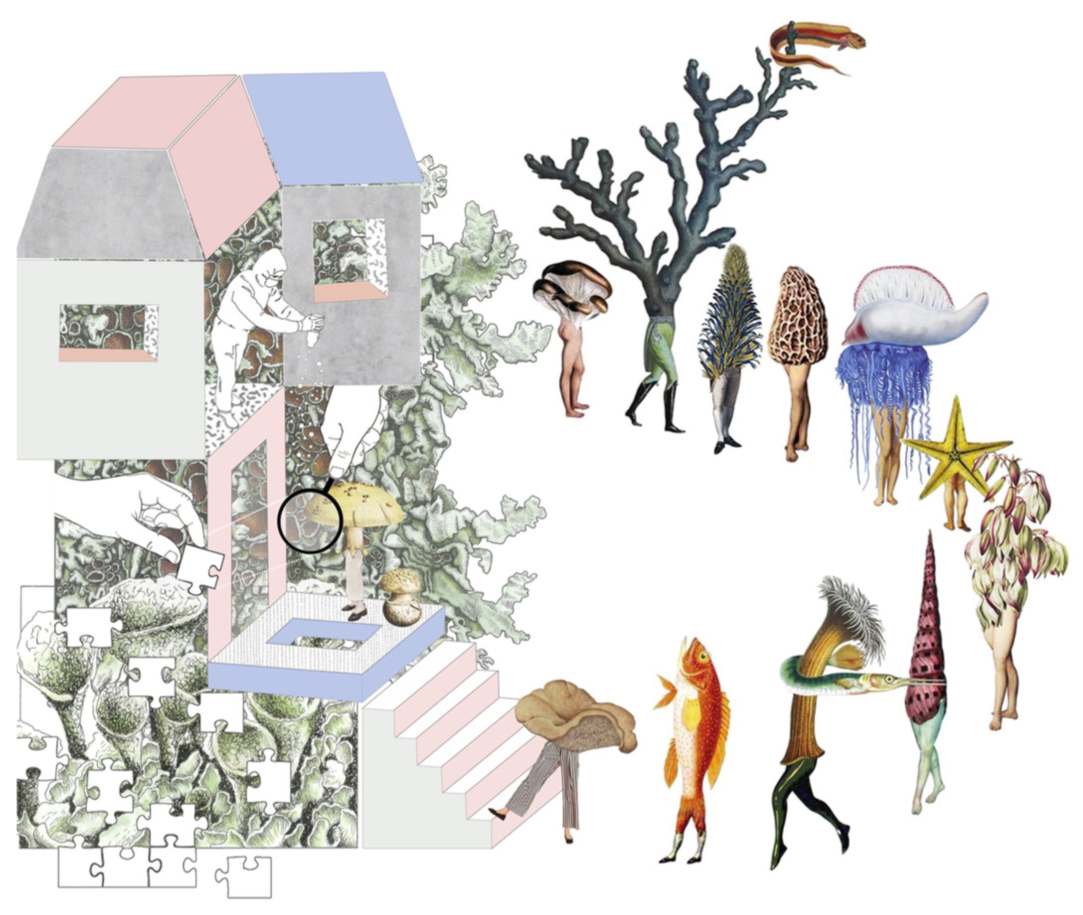 Biomimetics 10 00369 g006