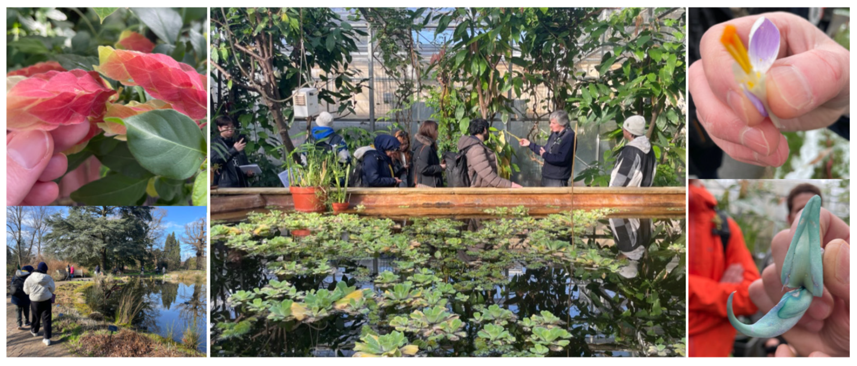 Biomimetics 10 00369 g008