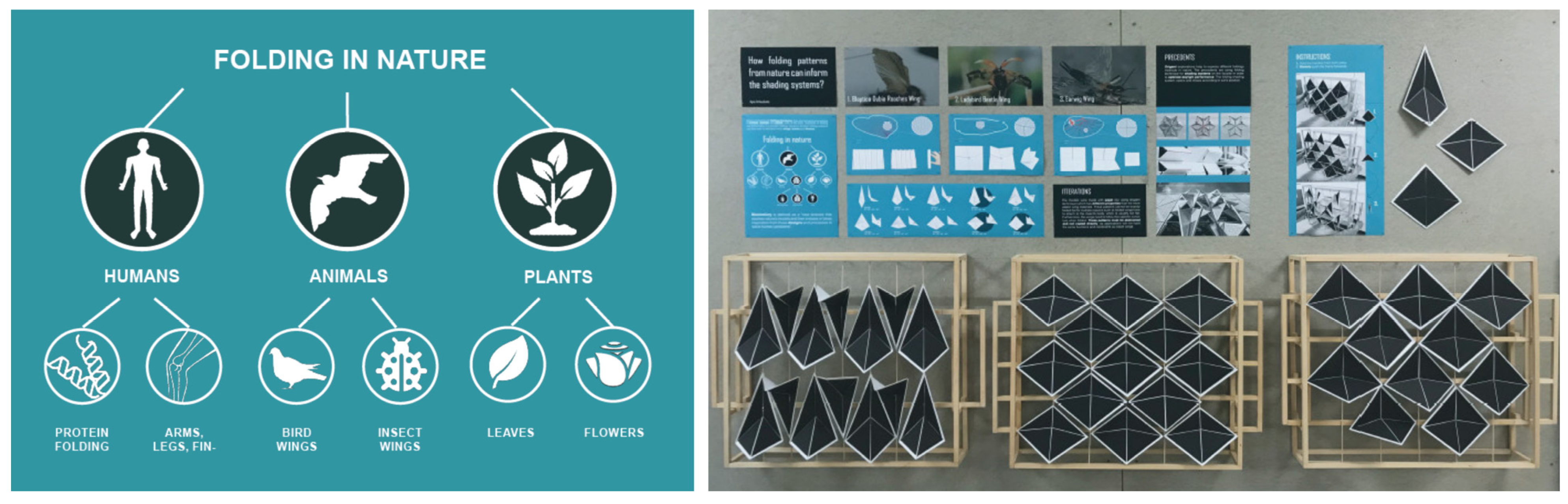 Biomimetics 10 00369 g010