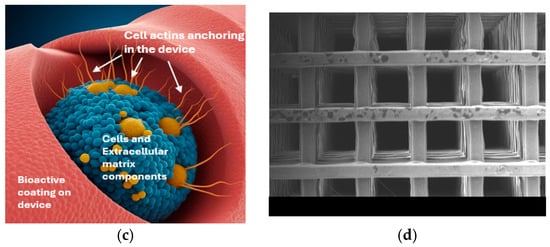 Biomimetics 10 00370 g002b