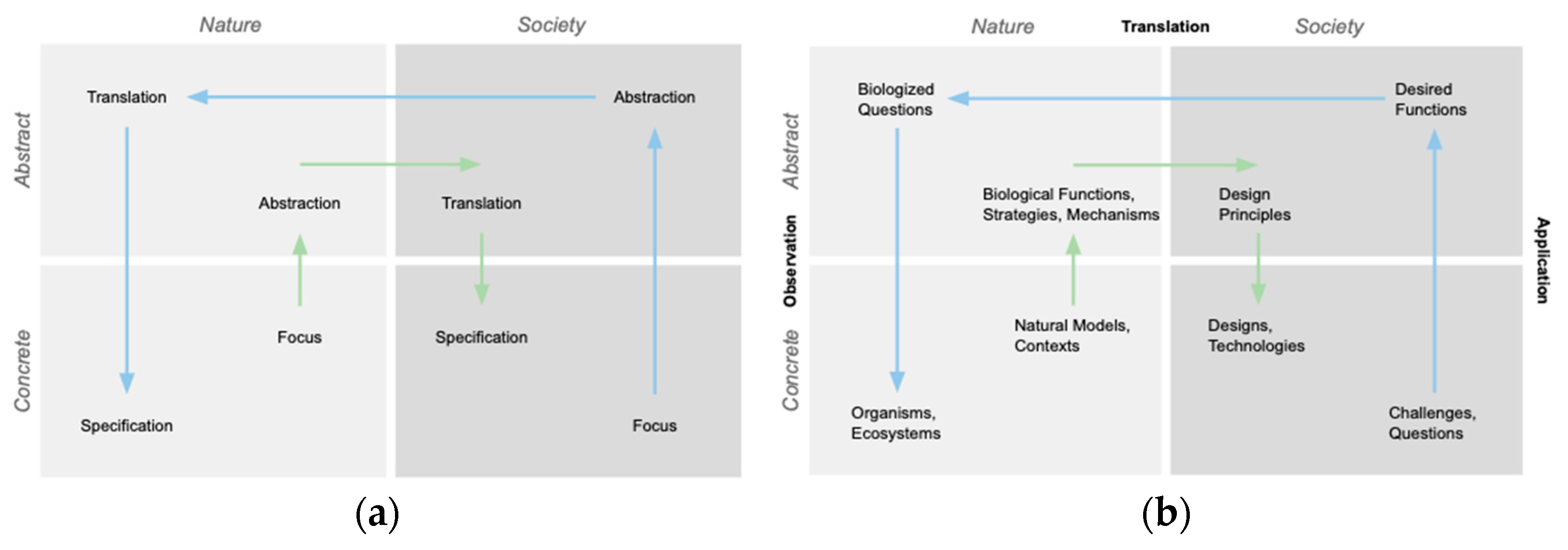 Biomimetics 10 00376 g002