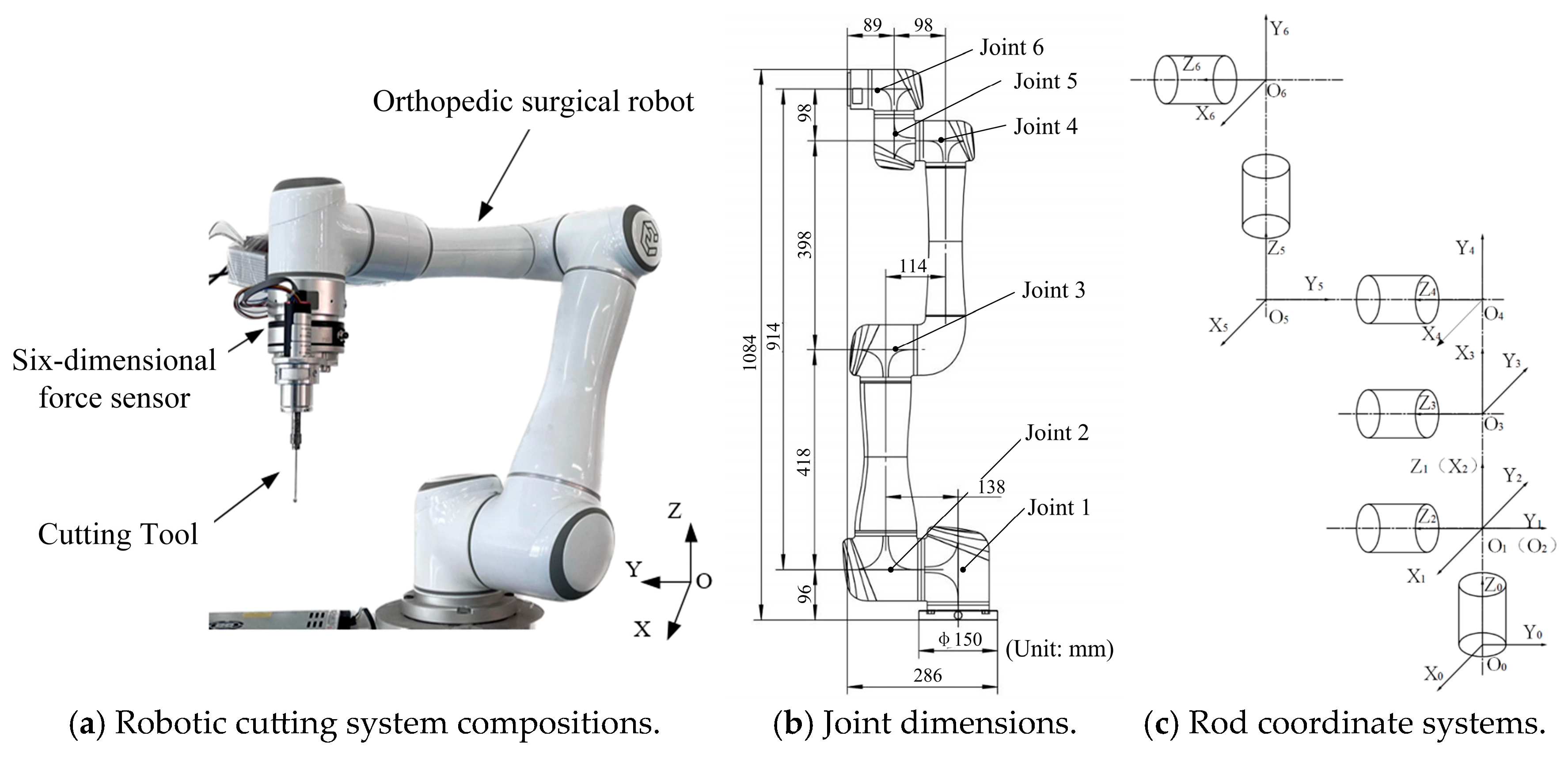 Biomimetics 10 00383 g001