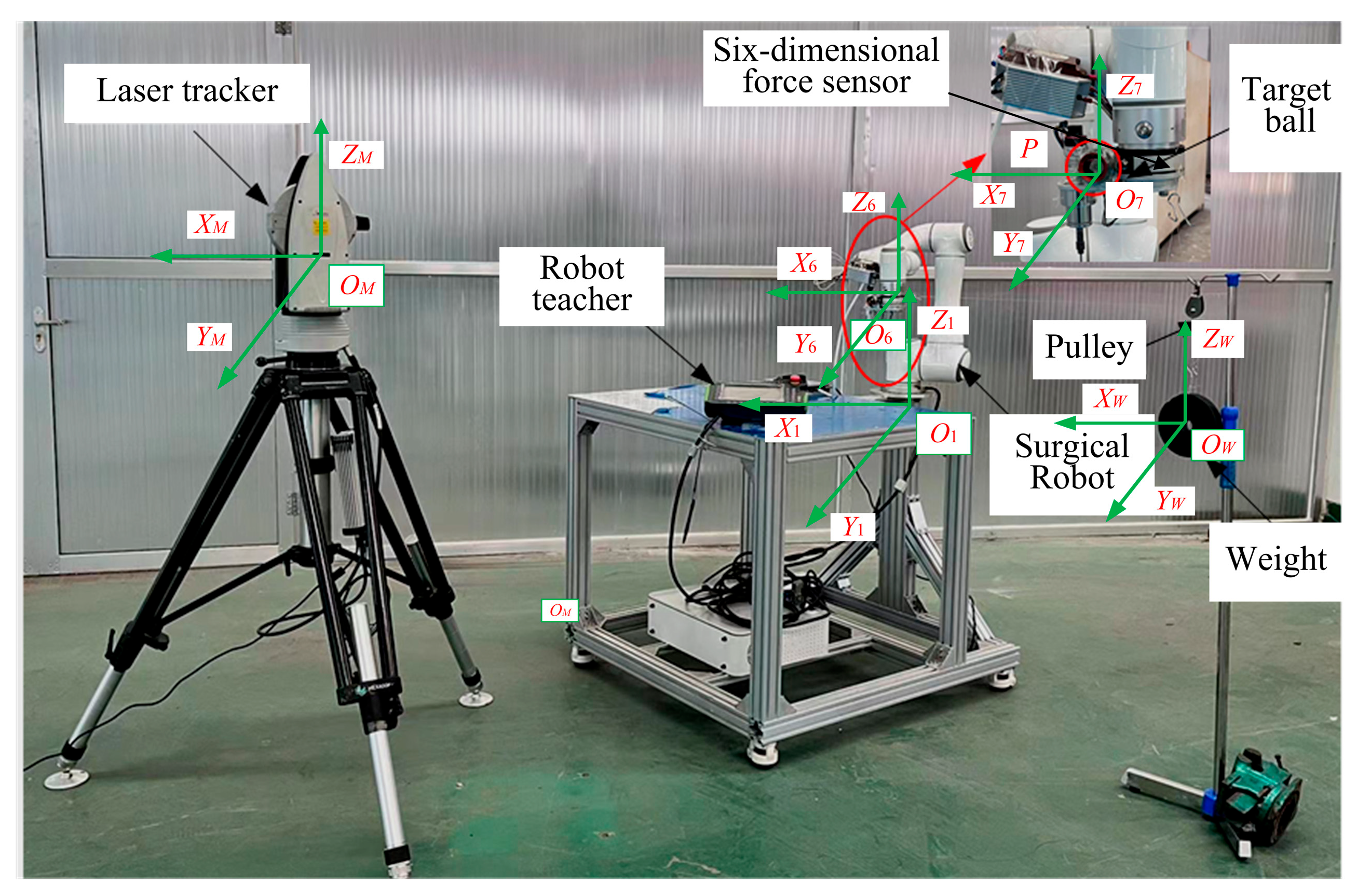Biomimetics 10 00383 g003