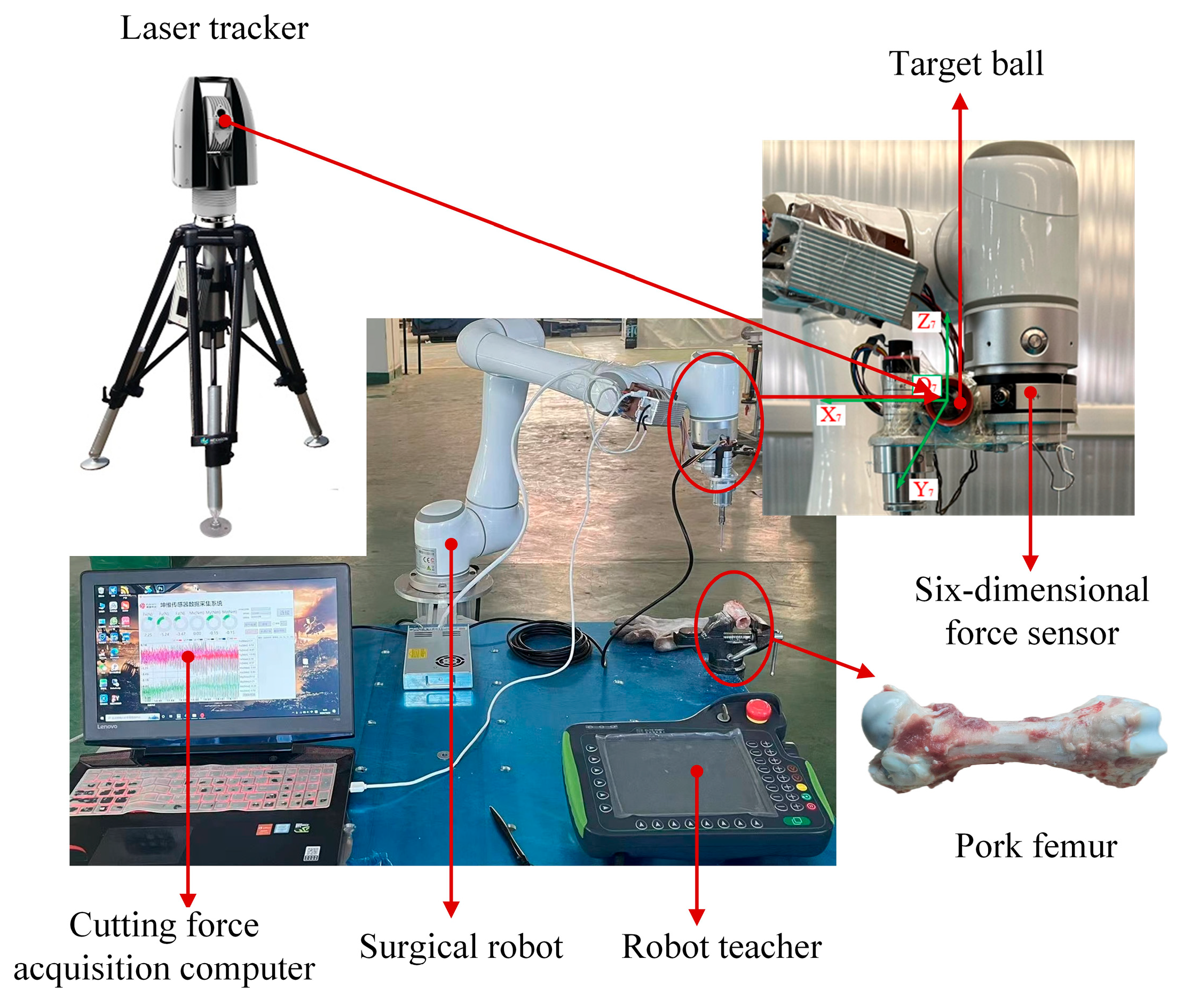 Biomimetics 10 00383 g013