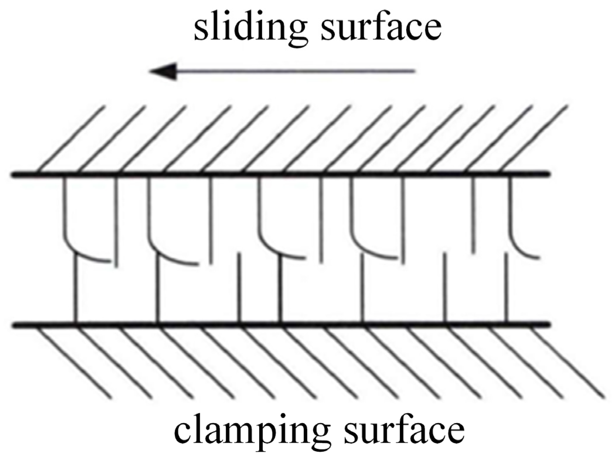 Biomimetics 10 00403 g005 Biomimetics 10 00403 g005