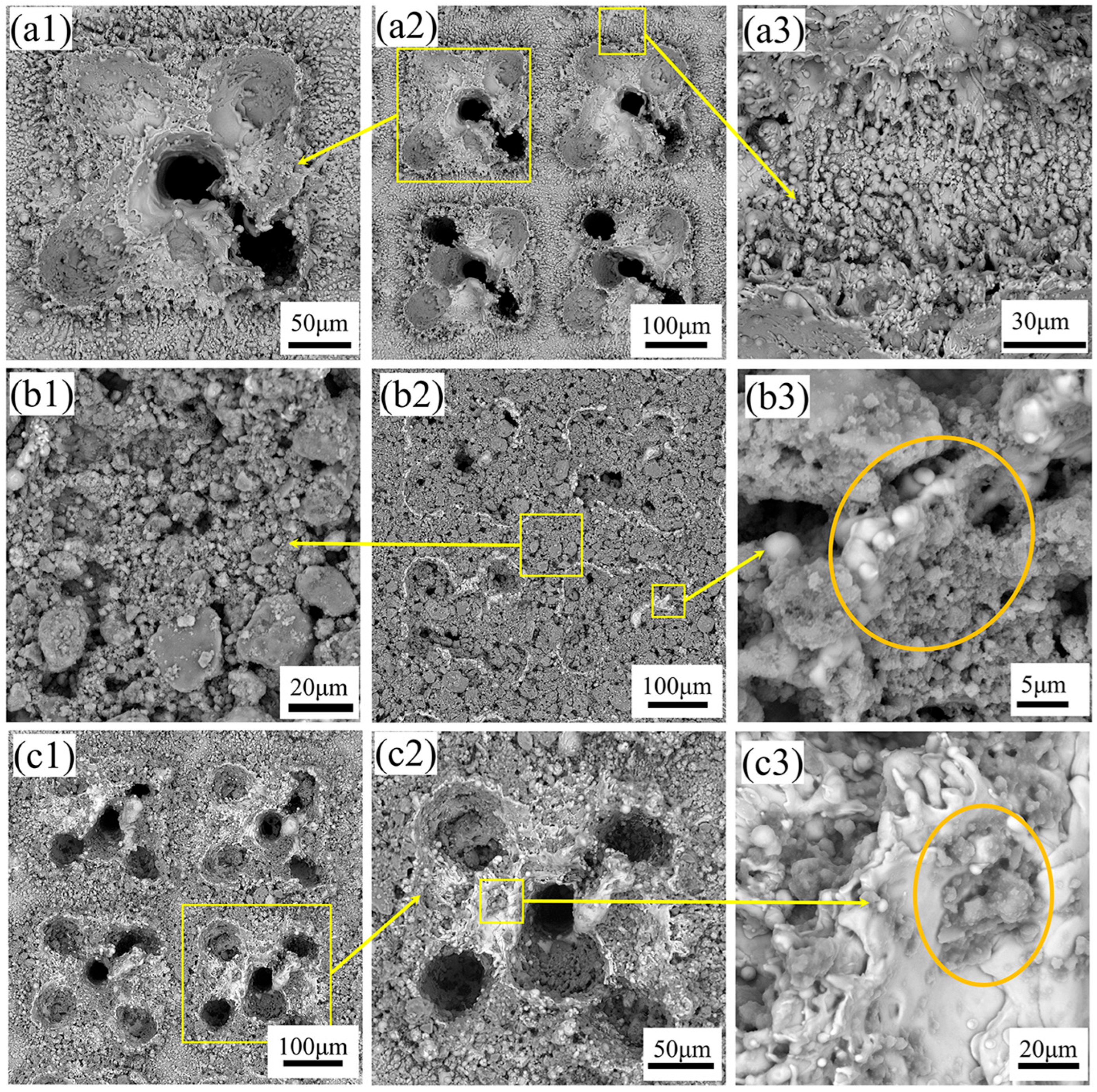 Biomimetics 10 00404 g002