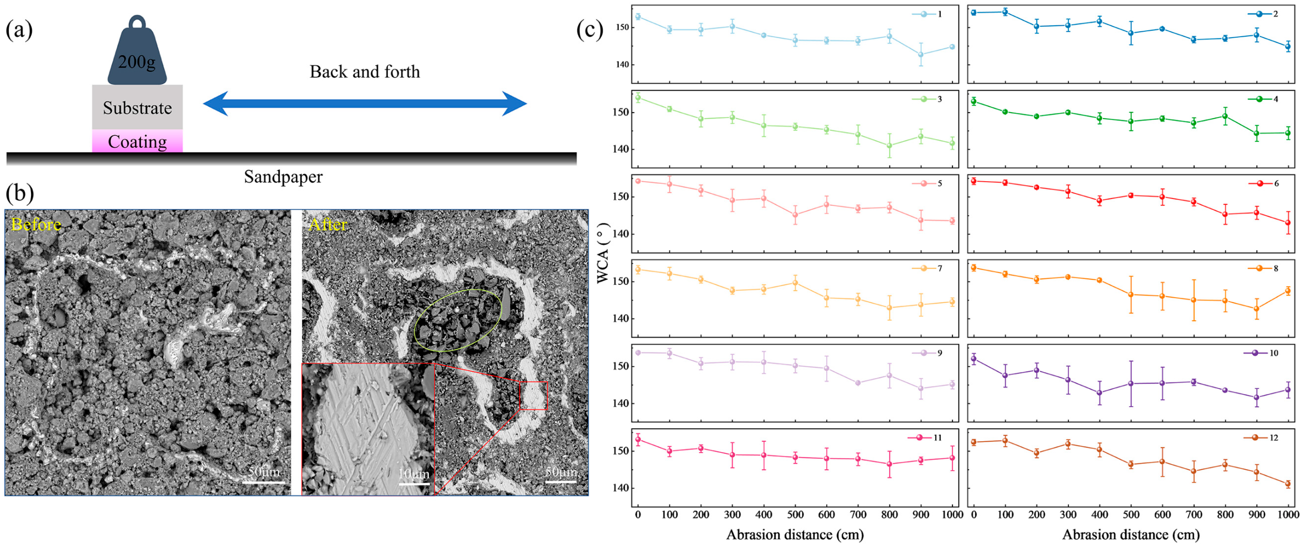Biomimetics 10 00404 g006