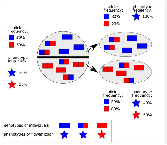 Biomimetics 10 00406 g002