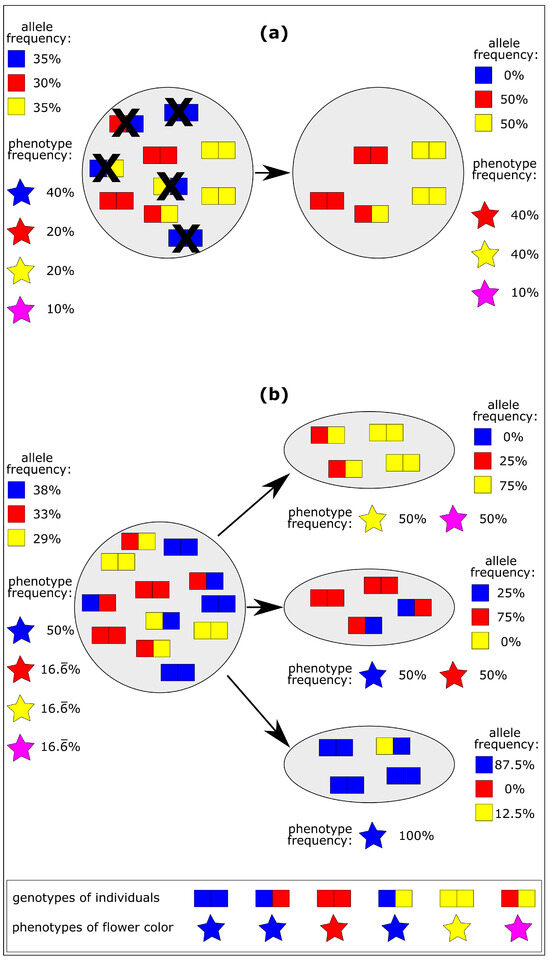 Biomimetics 10 00406 g003