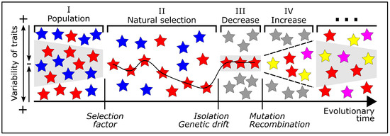 Biomimetics 10 00406 g007