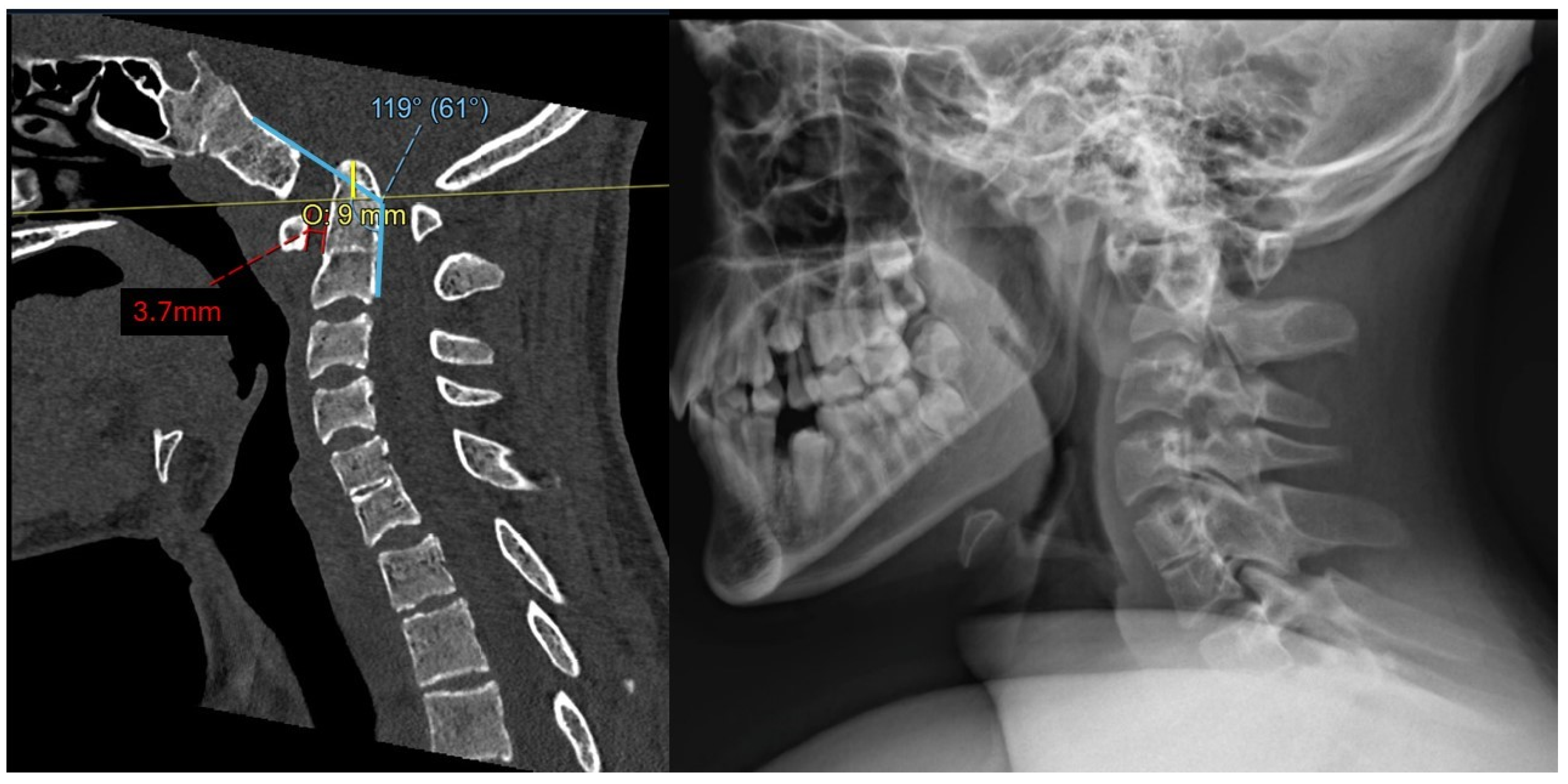 Biomimetics 10 00408 g001