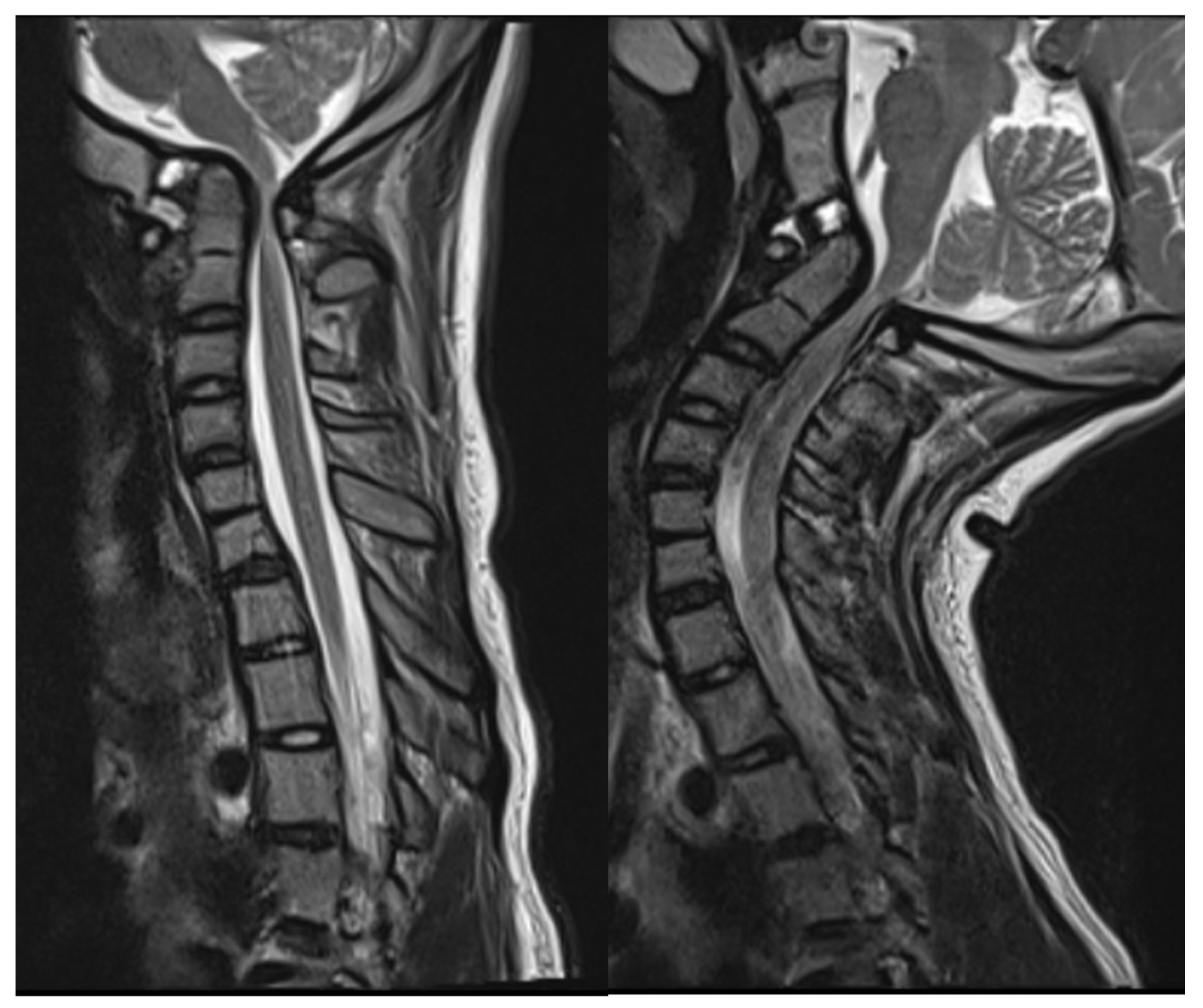 Biomimetics 10 00408 g003