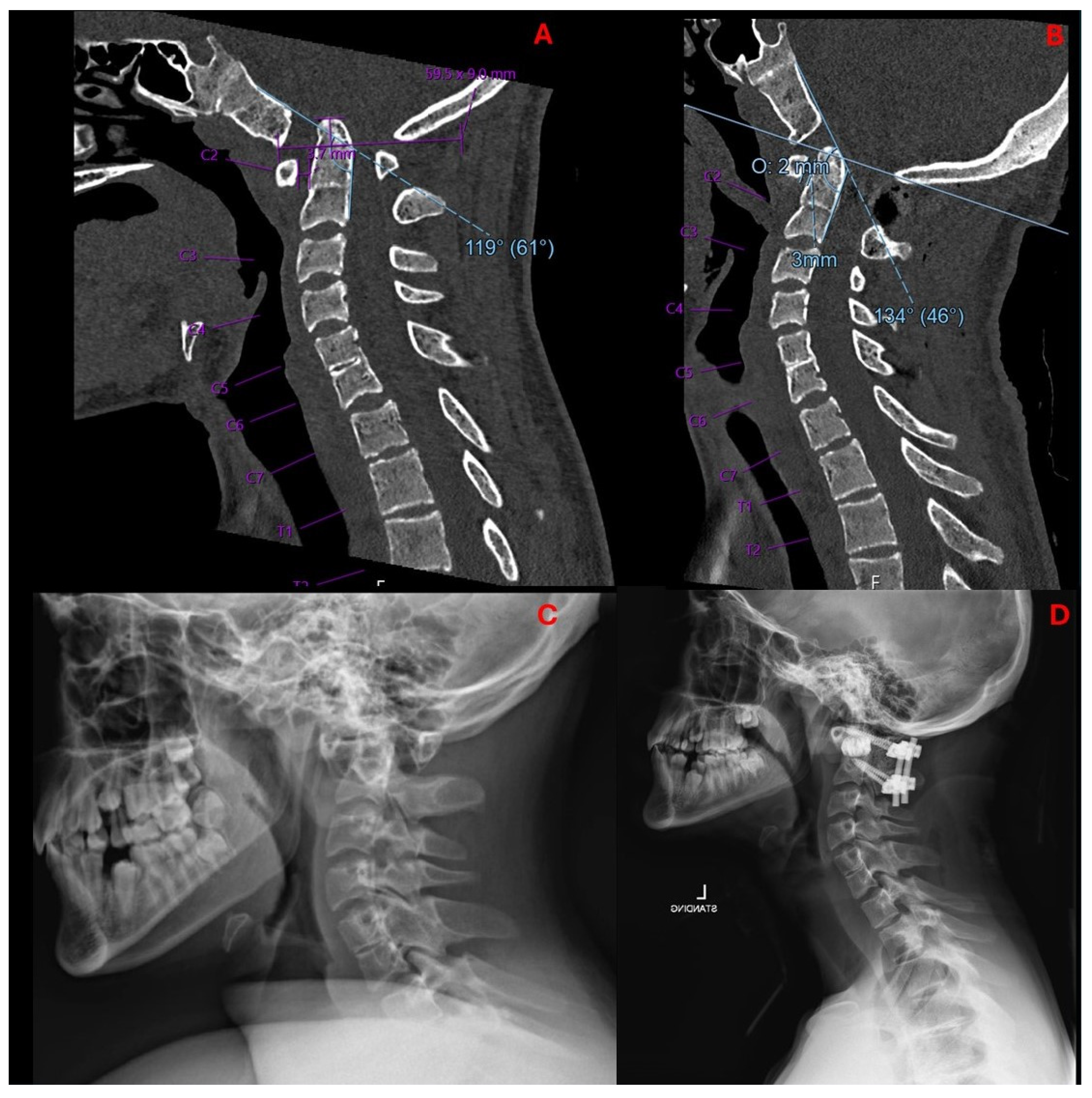 Biomimetics 10 00408 g006