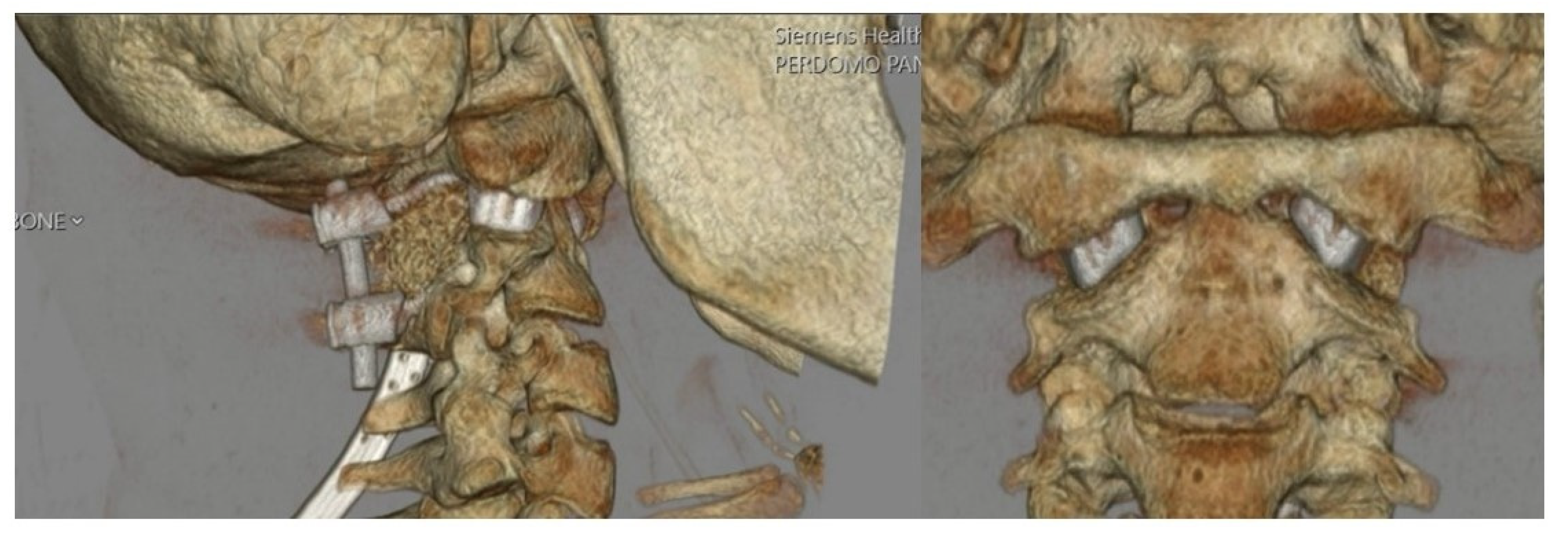 Biomimetics 10 00408 g007