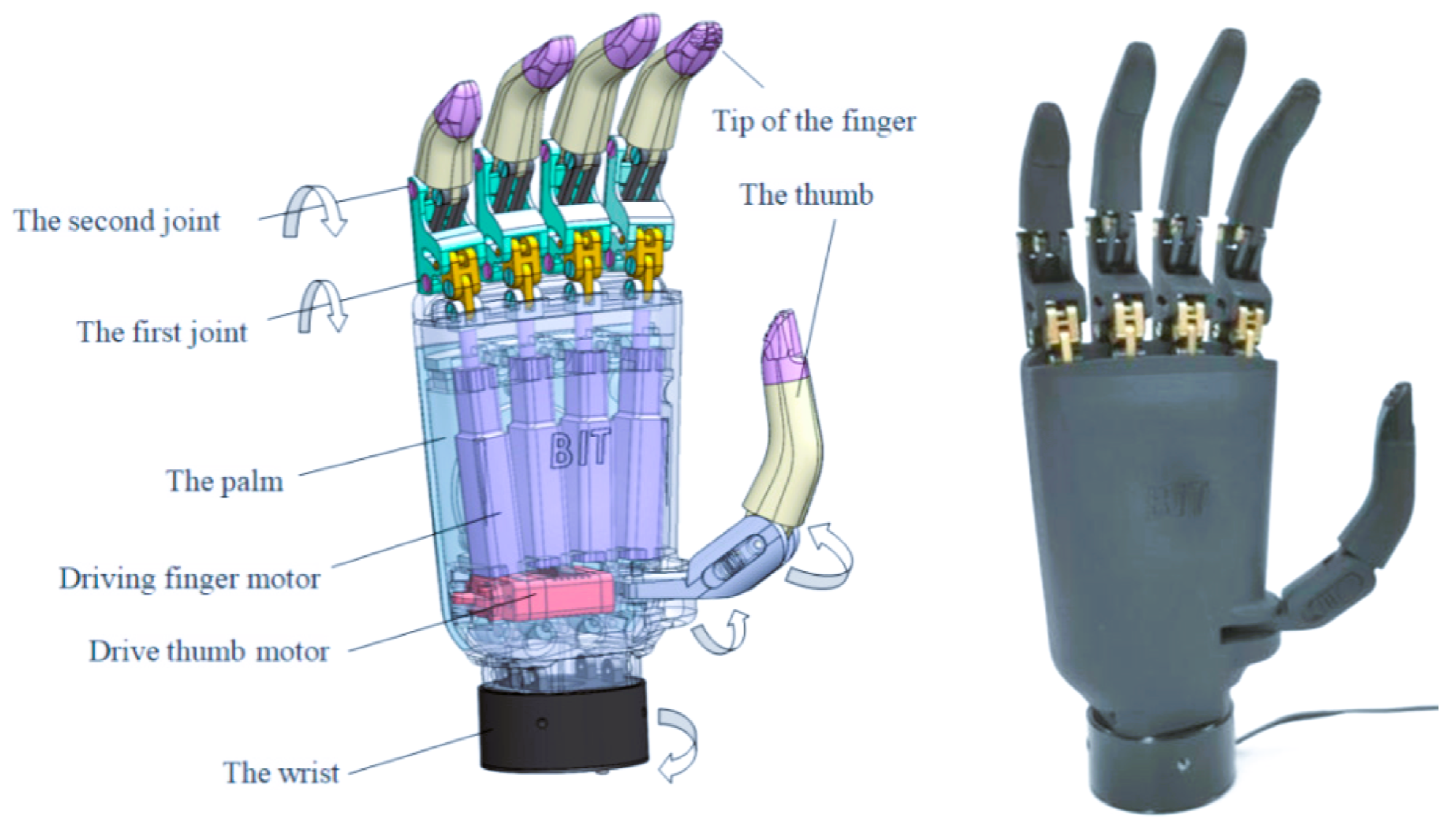 Biomimetics 10 00423 g001