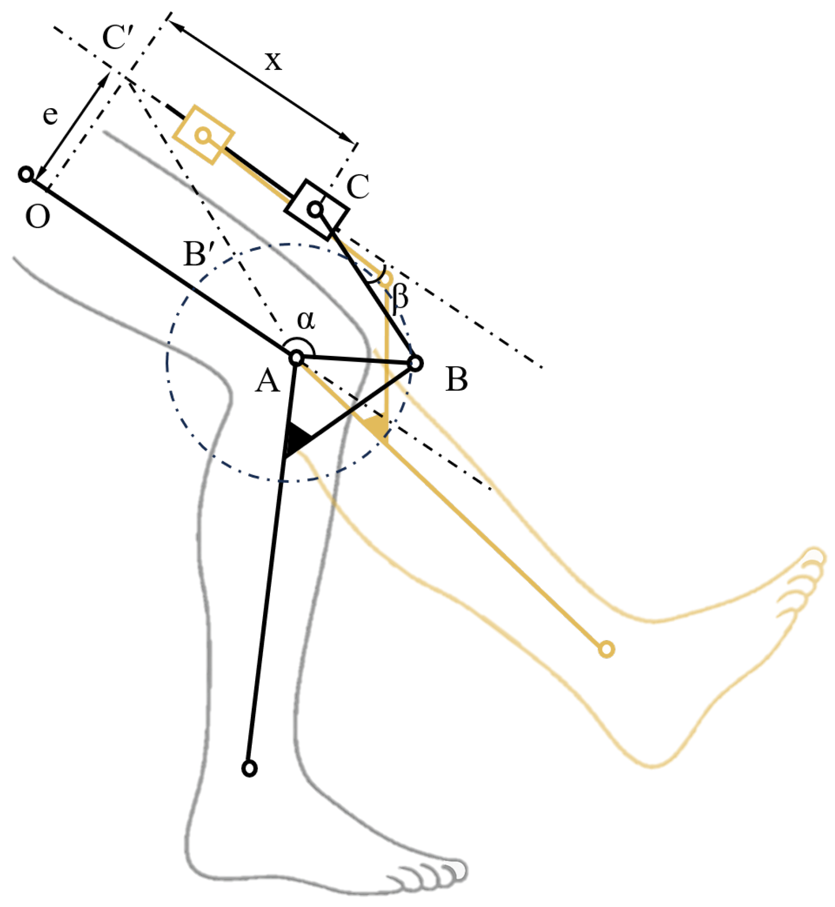 Biomimetics 10 00424 g005