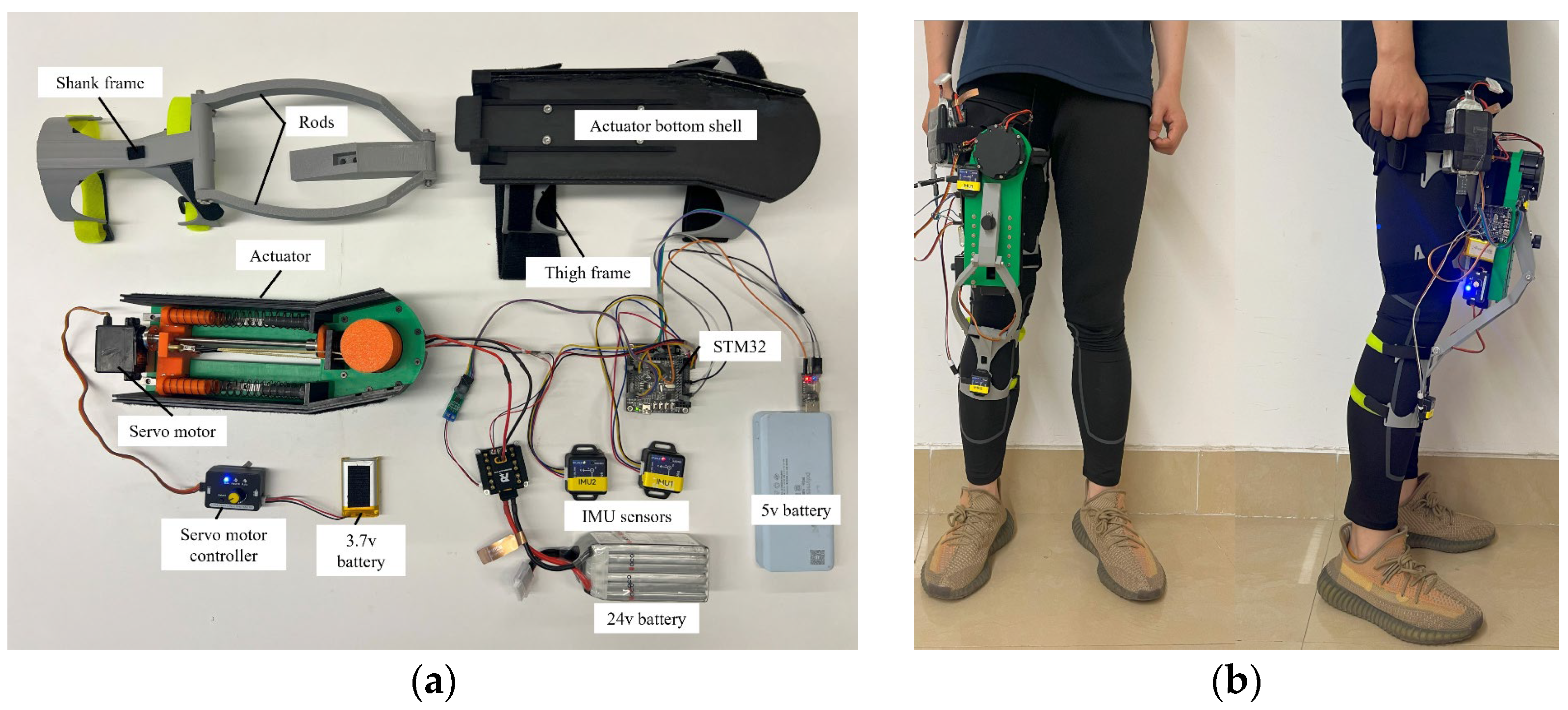 Biomimetics 10 00424 g014