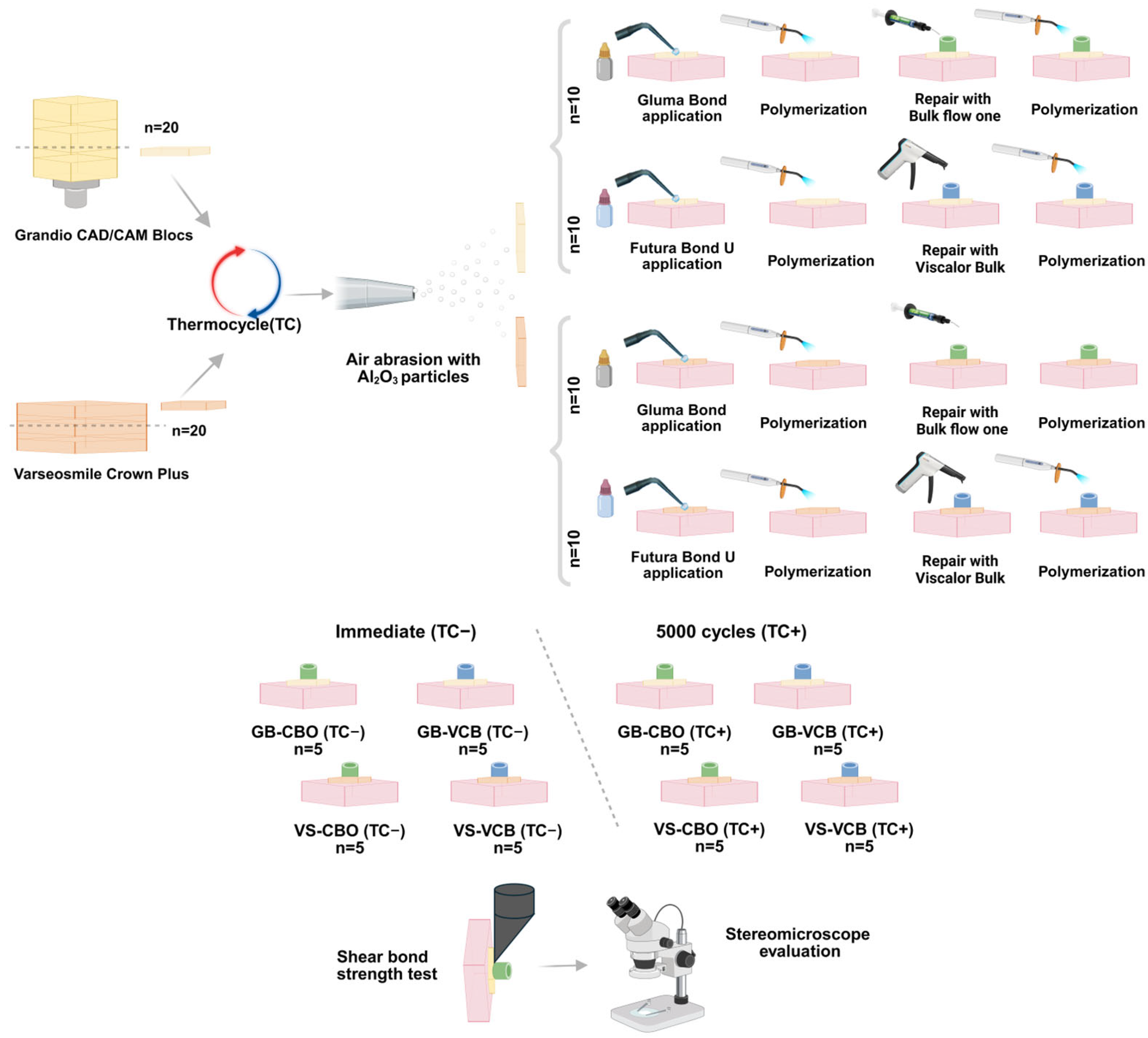 Biomimetics 10 00433 g001