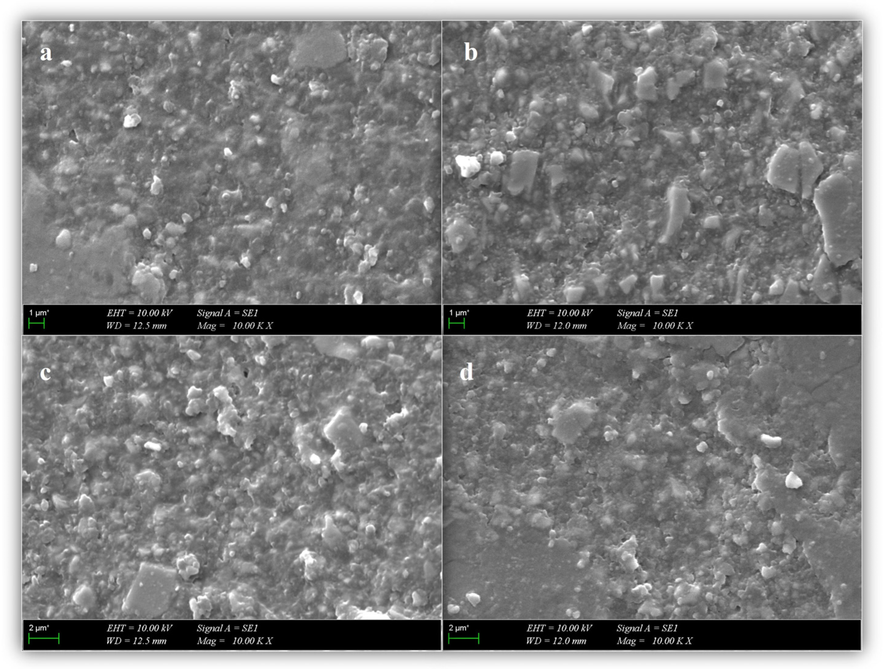 Biomimetics 10 00433 g003