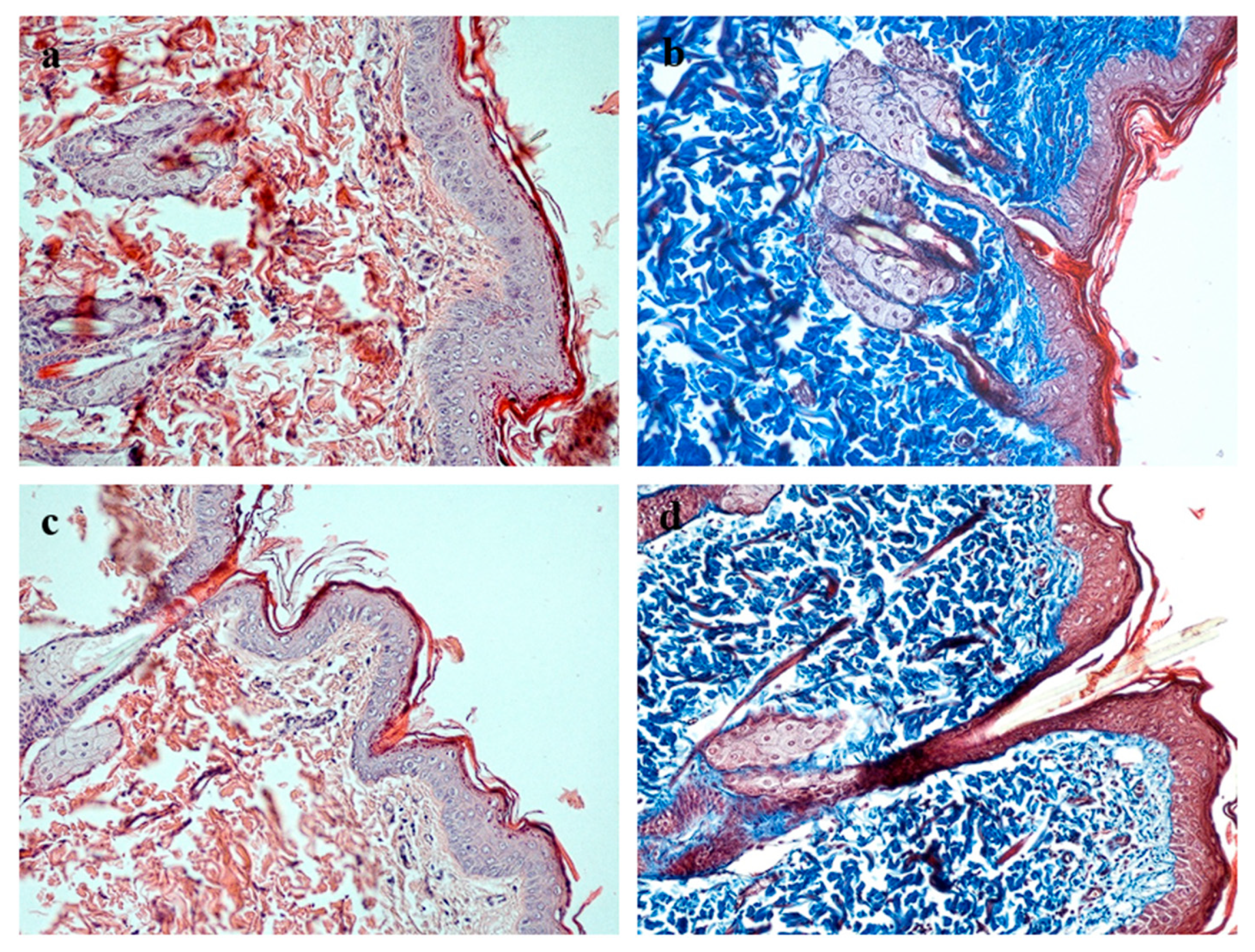 Biomimetics 10 00434 g006