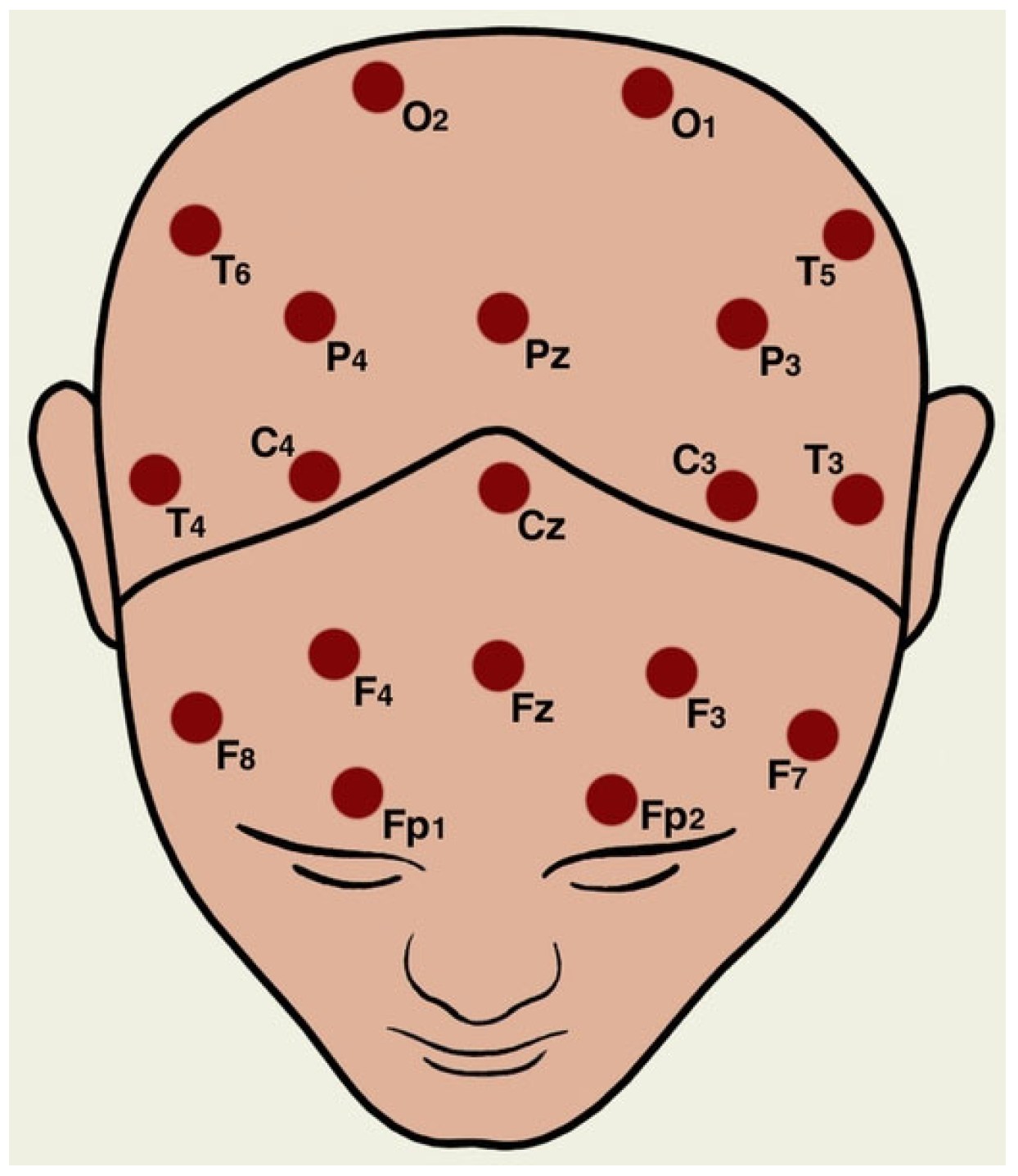 Biomimetics 10 00449 g001