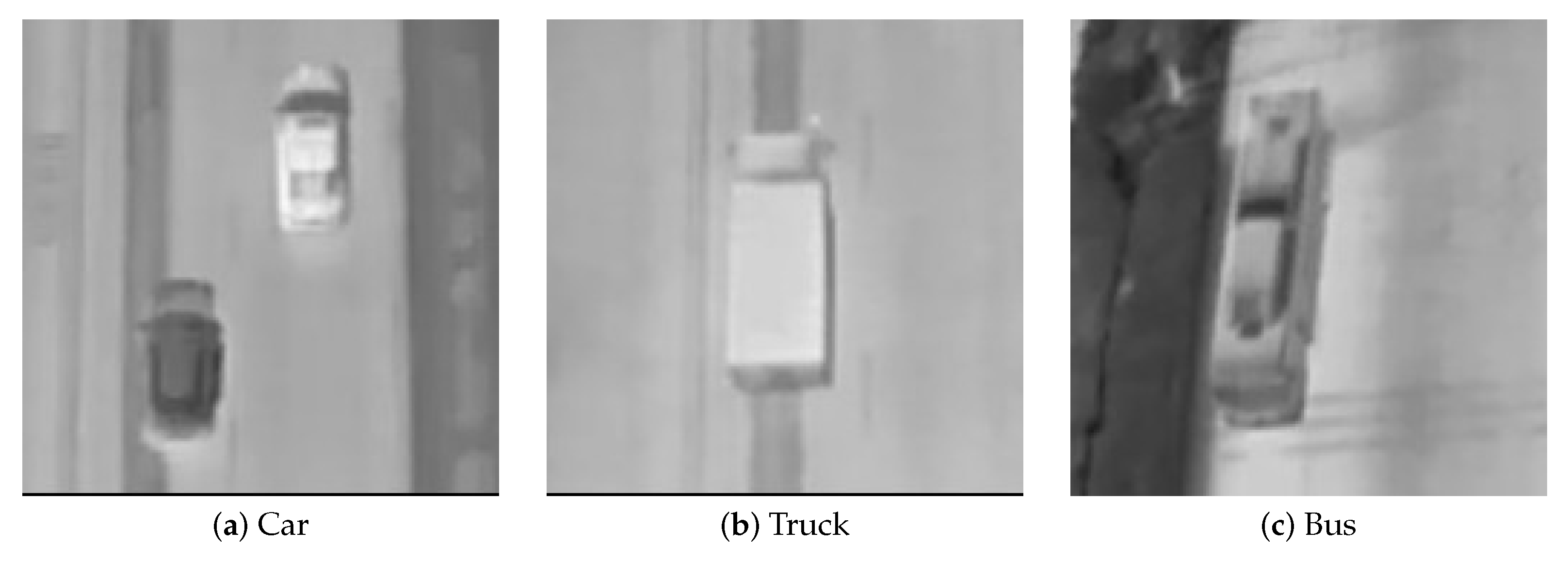 Biomimetics 10 00451 g003