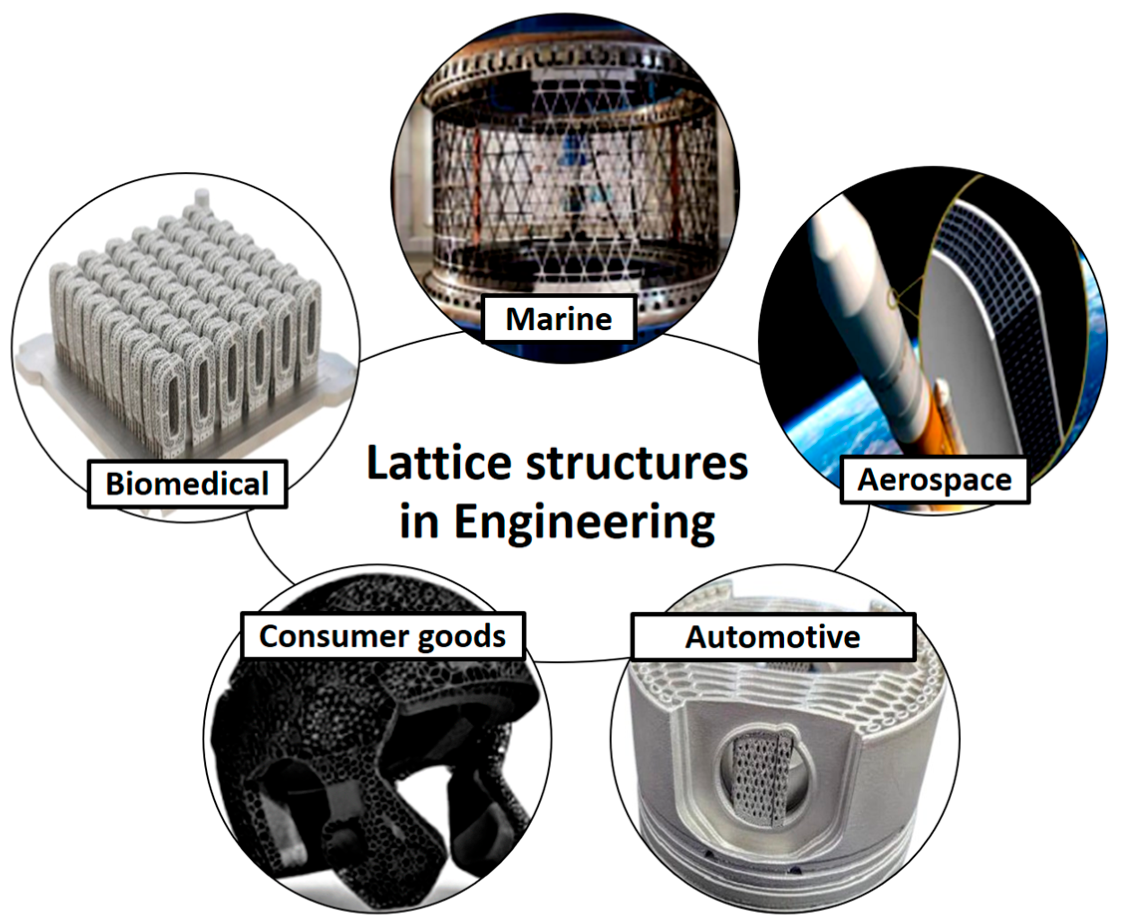 Biomimetics 10 00458 g004 Biomimetics 10 00458 g004