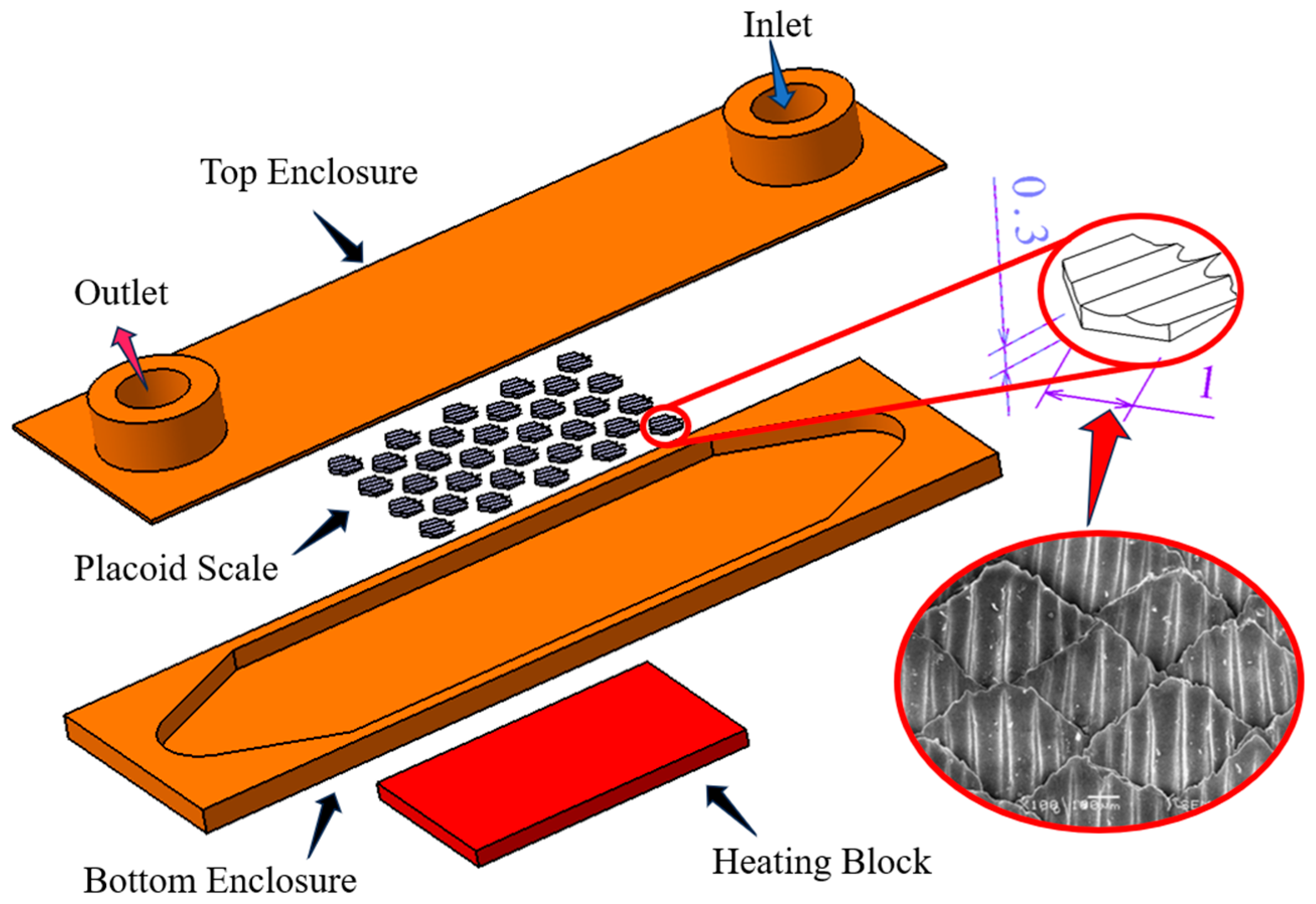 Biomimetics 10 00459 g001