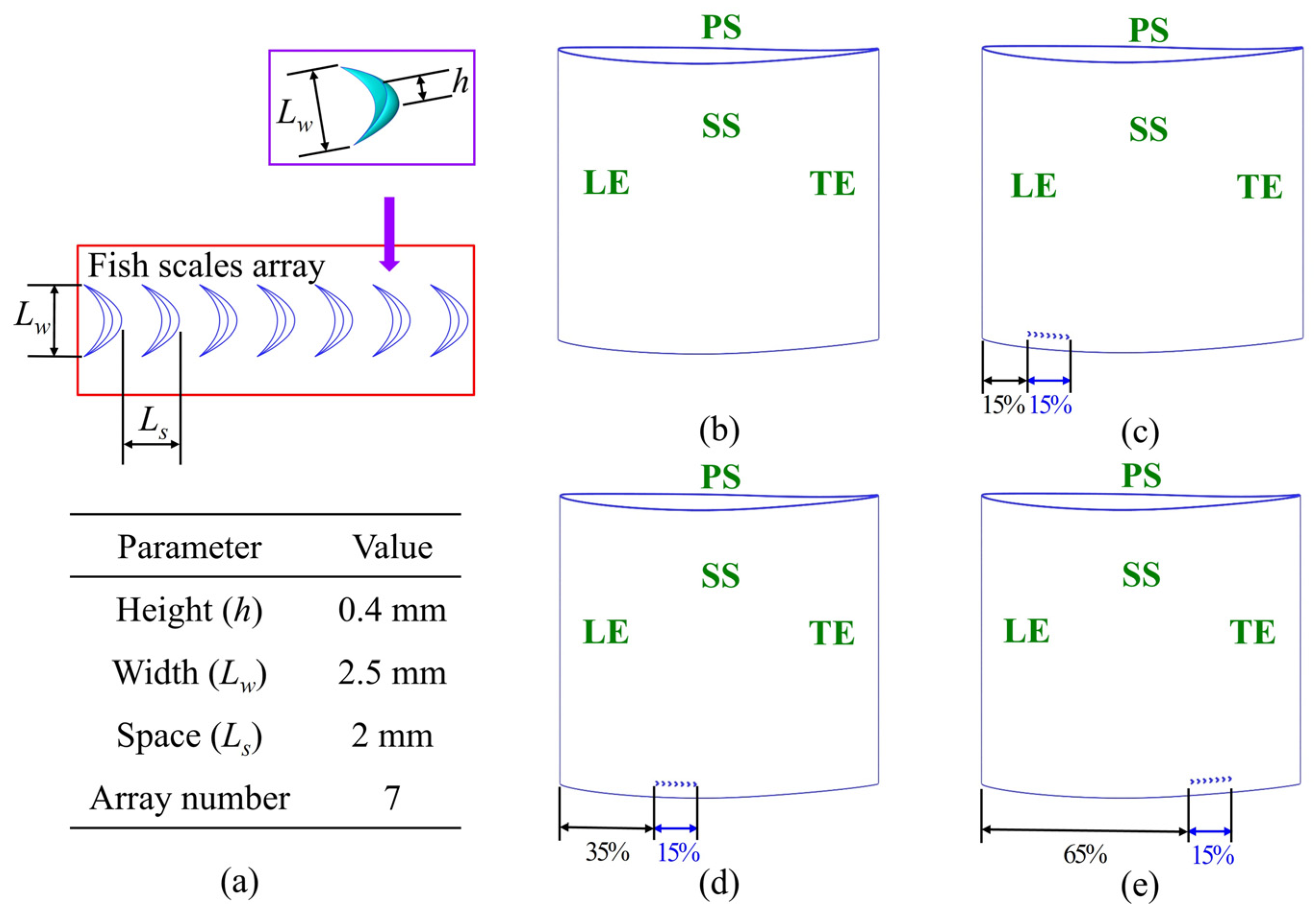 Biomimetics 10 00473 g003