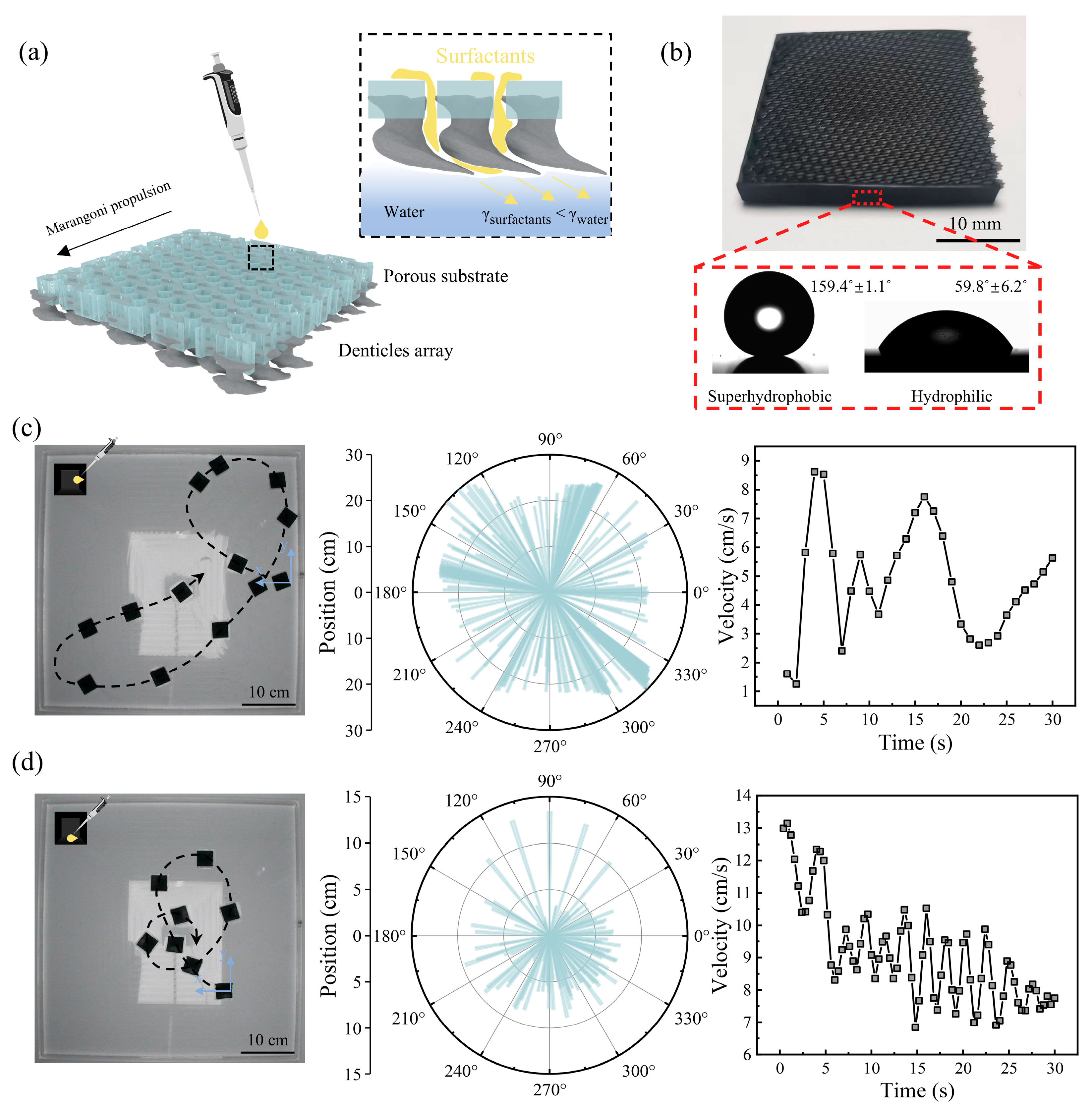 Biomimetics 10 00479 g002 Biomimetics 10 00479 g002