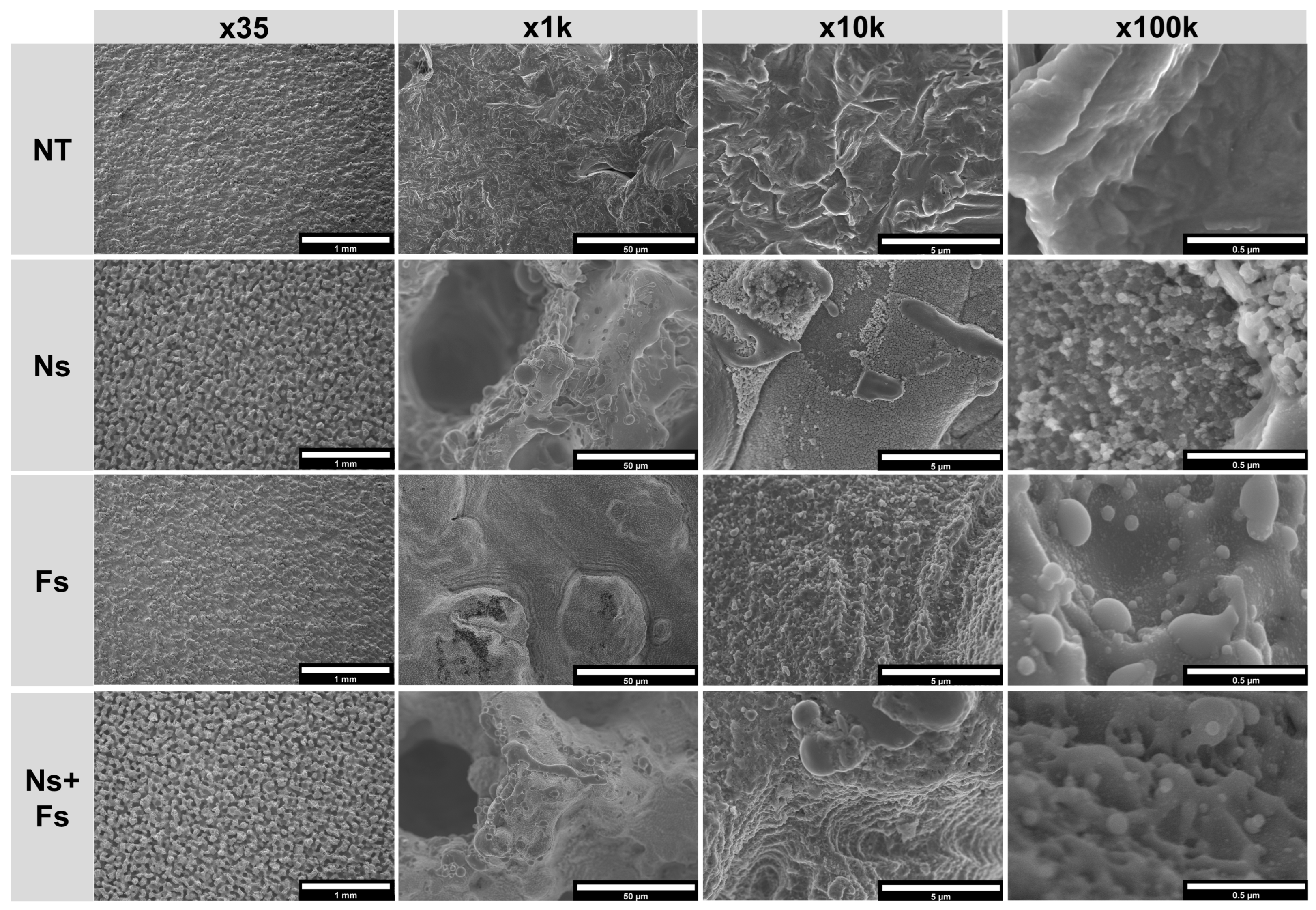 Biomimetics 10 00507 g005