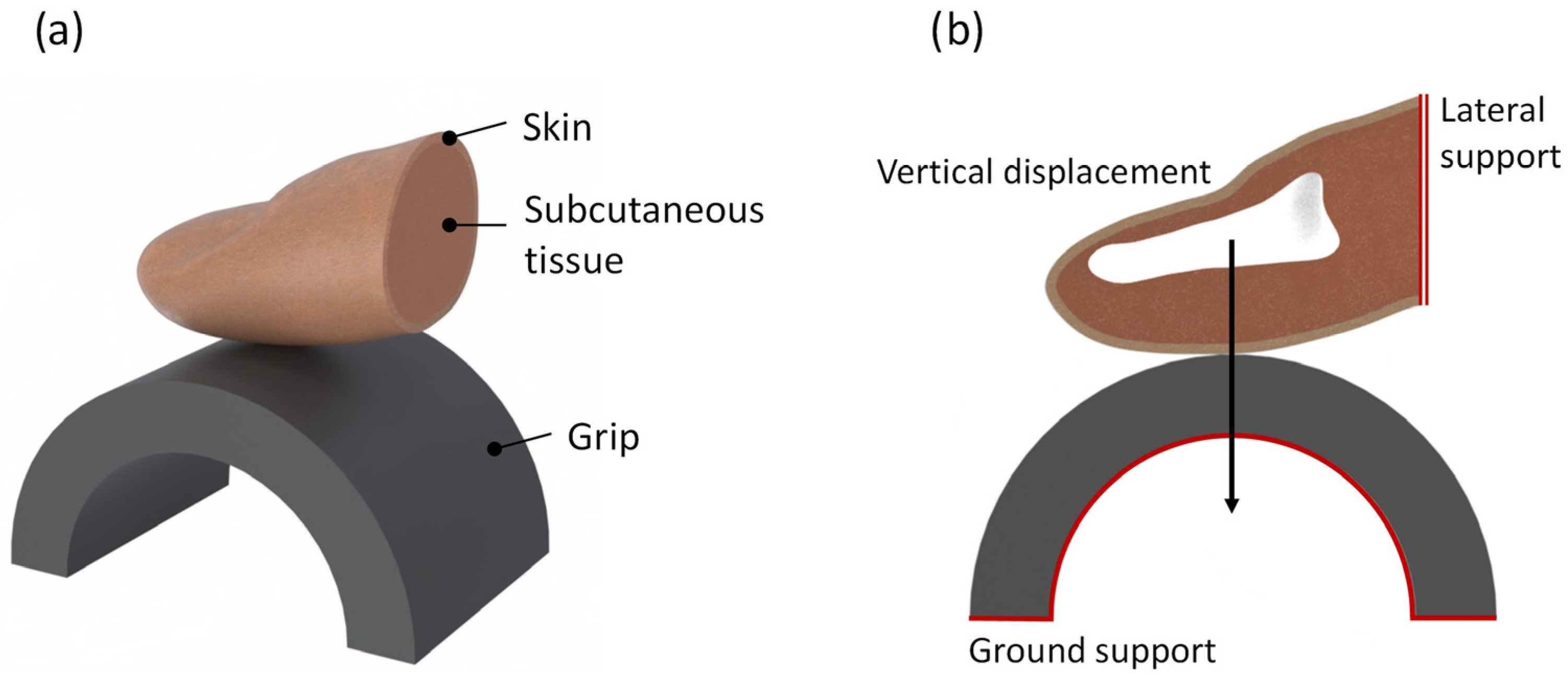 Biomimetics 10 00519 g003