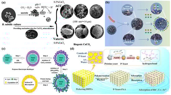 Biomimetics 10 00521 g002