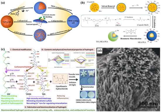 Biomimetics 10 00521 g003