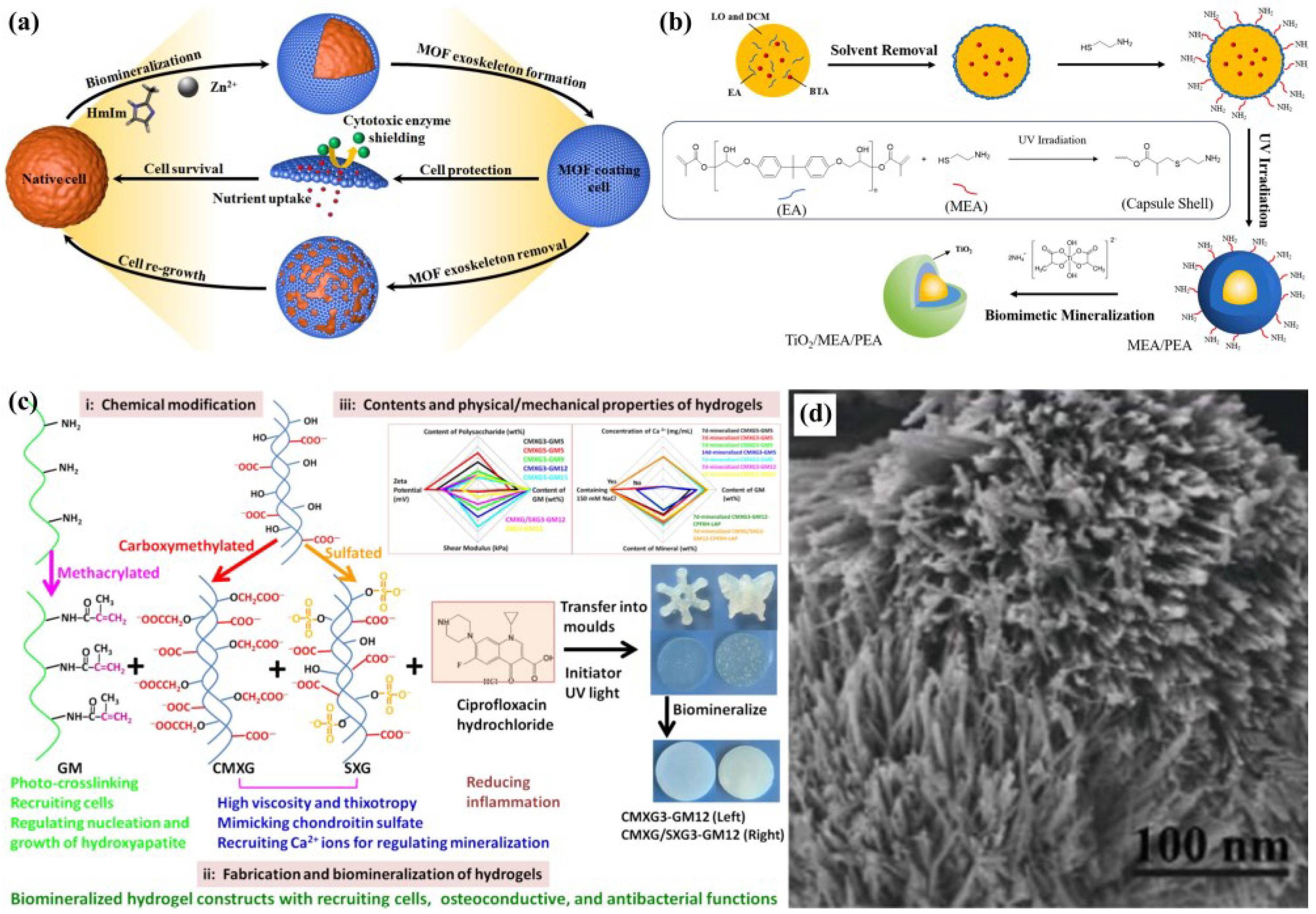 Biomimetics 10 00521 g003 Biomimetics 10 00521 g003
