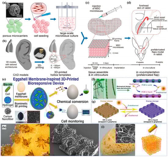 Biomimetics 10 00521 g004