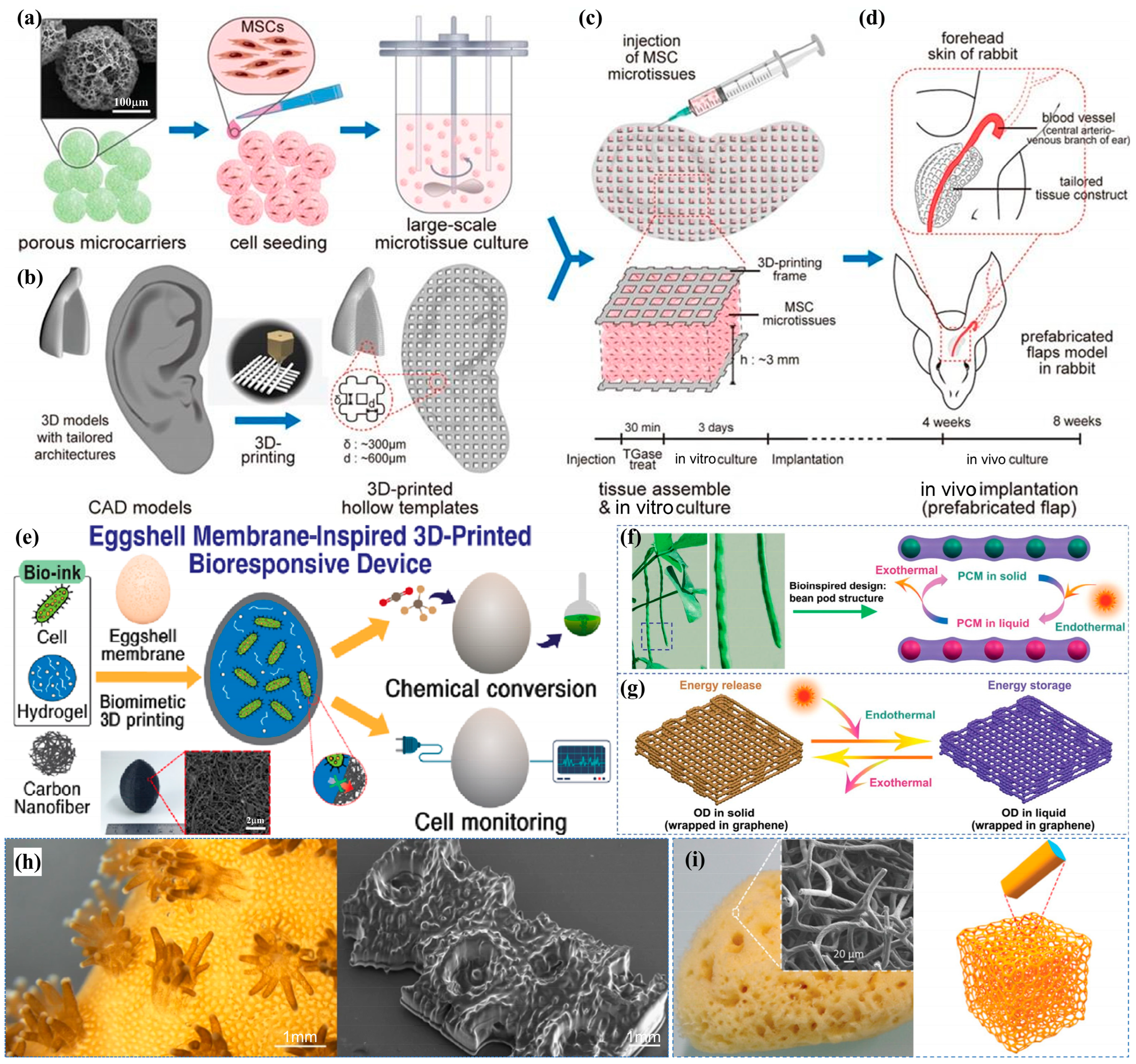Biomimetics 10 00521 g004 Biomimetics 10 00521 g004