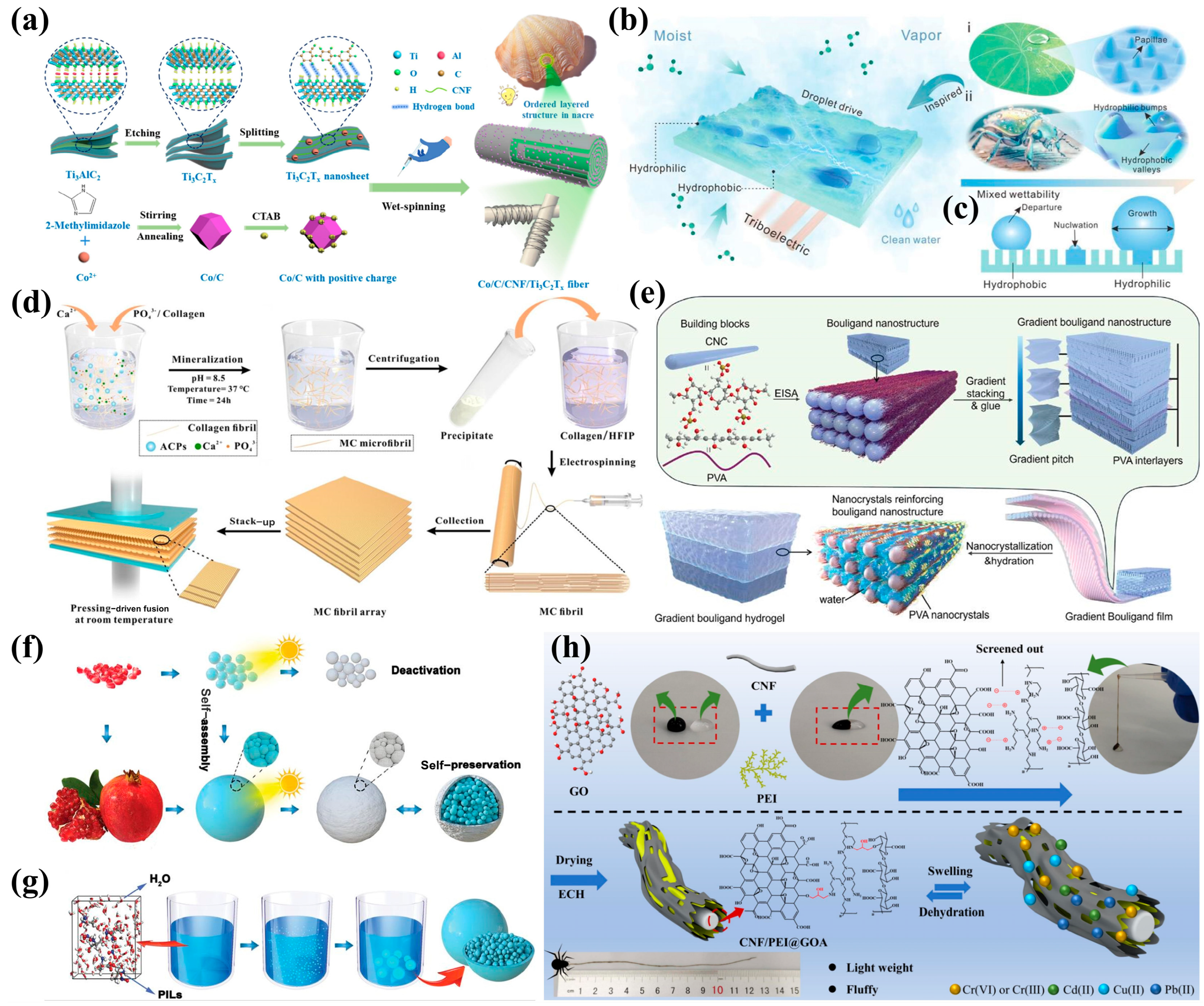Biomimetics 10 00521 g005 Biomimetics 10 00521 g005