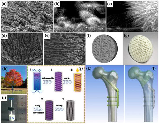 Biomimetics 10 00521 g006