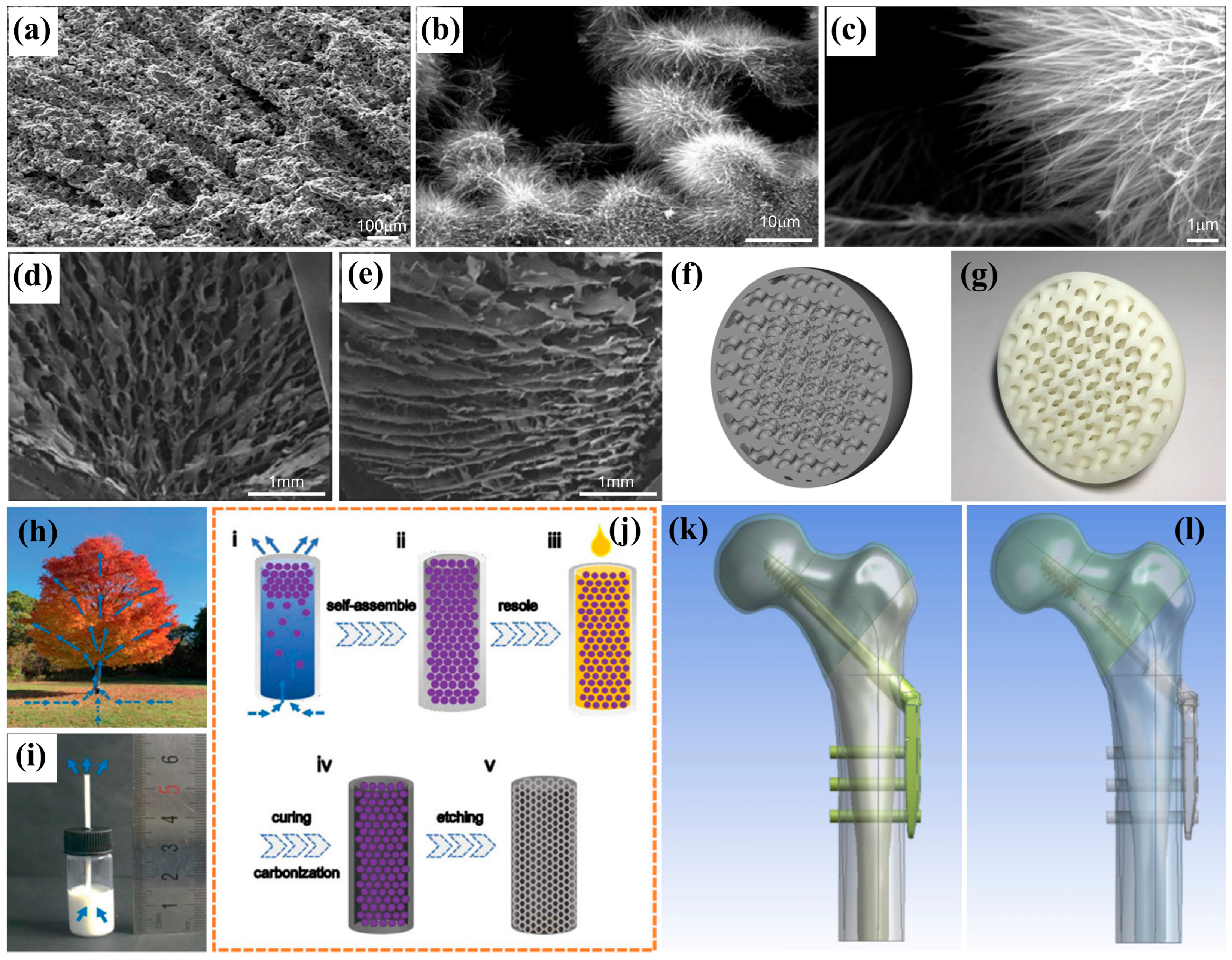 Biomimetics 10 00521 g006 Biomimetics 10 00521 g006