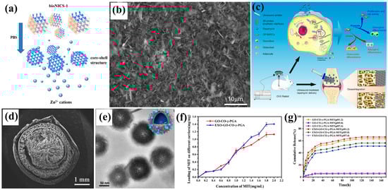 Biomimetics 10 00521 g007