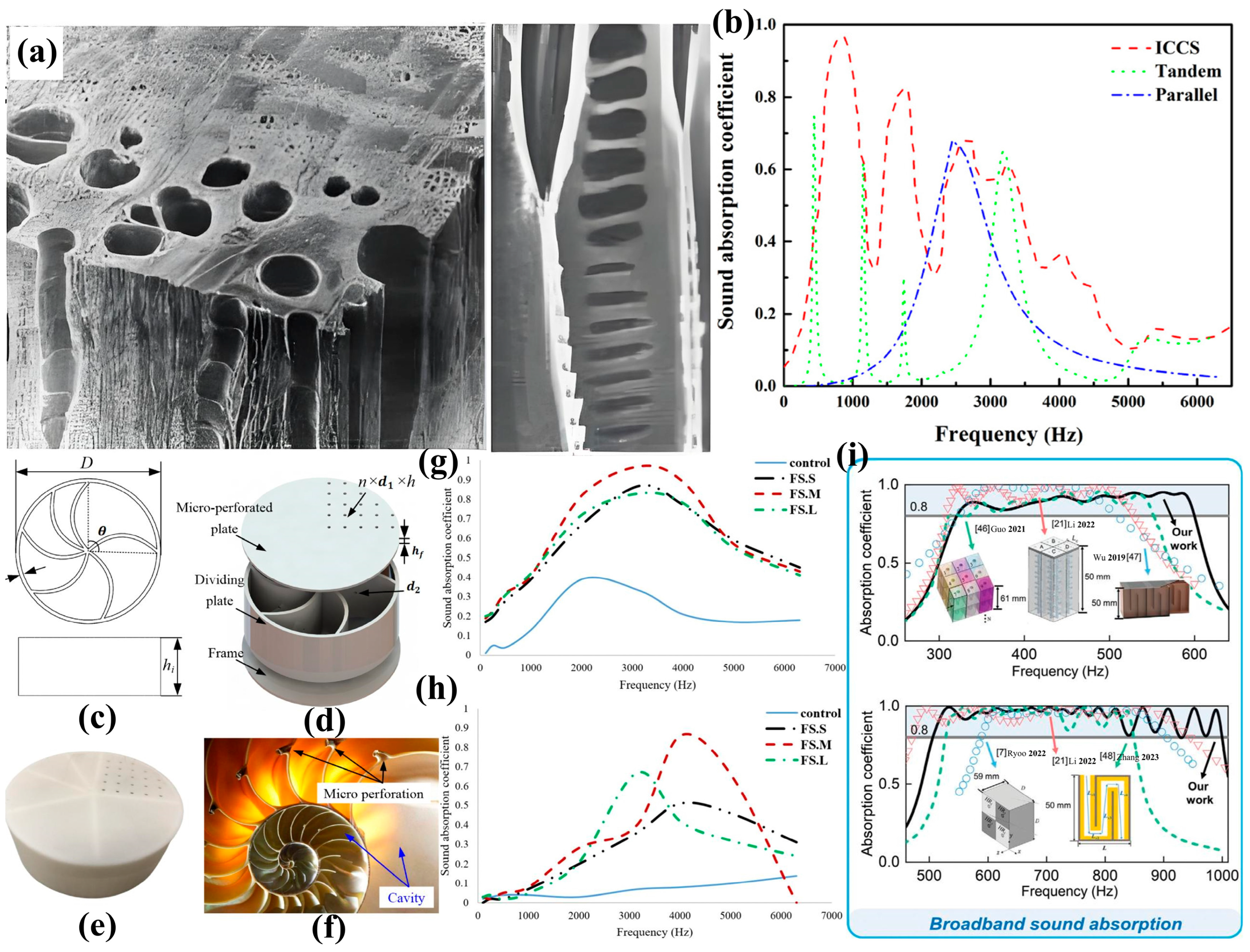 Biomimetics 10 00521 g012 Biomimetics 10 00521 g012