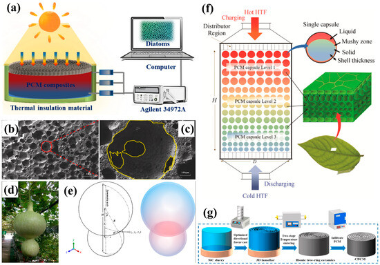 Biomimetics 10 00521 g014