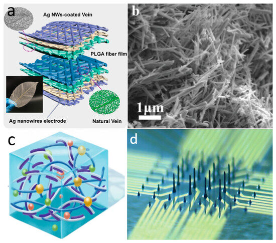Biomimetics 10 00531 g002