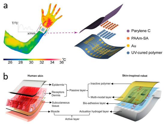 Biomimetics 10 00531 g003