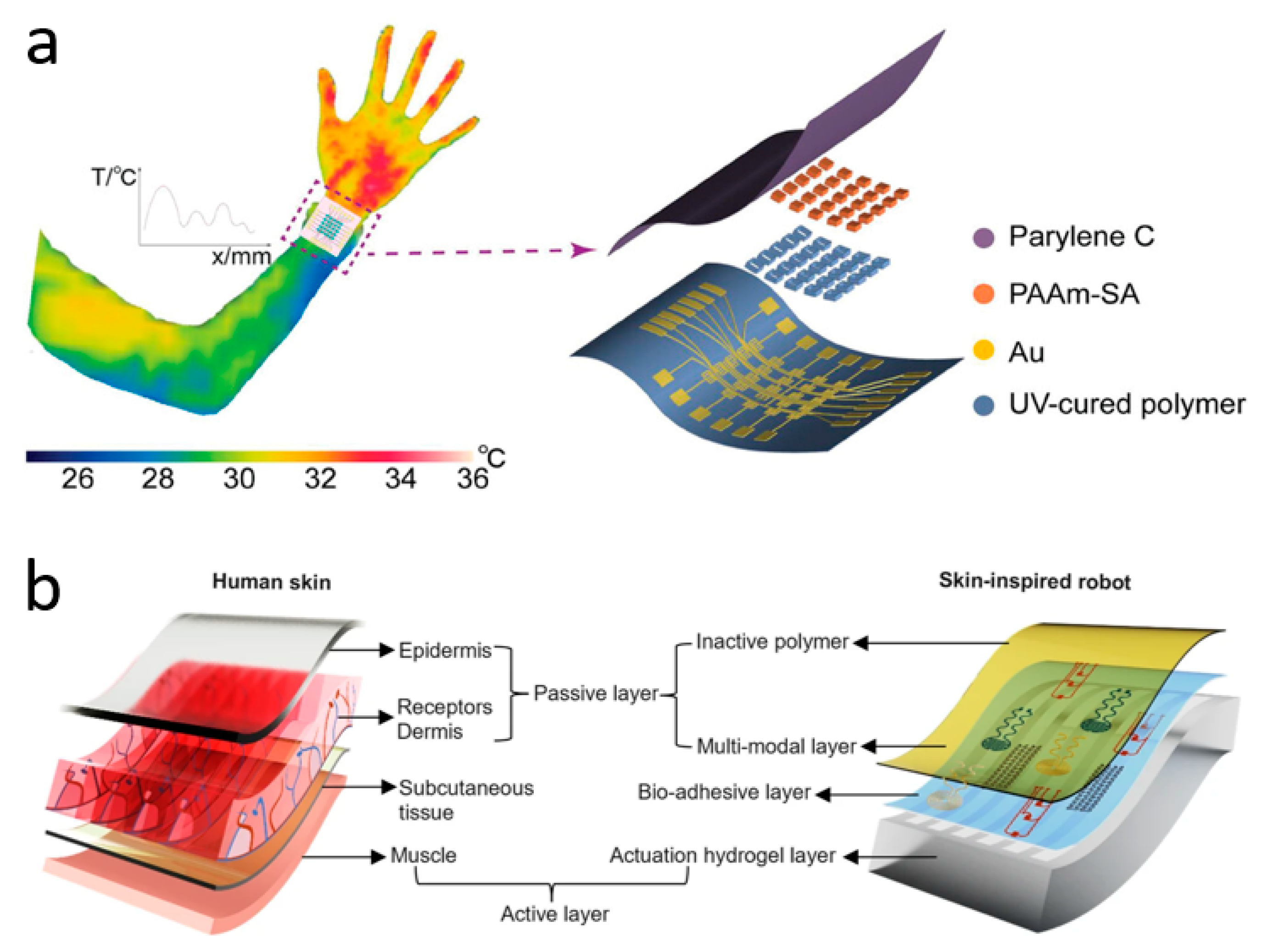 Biomimetics 10 00531 g003