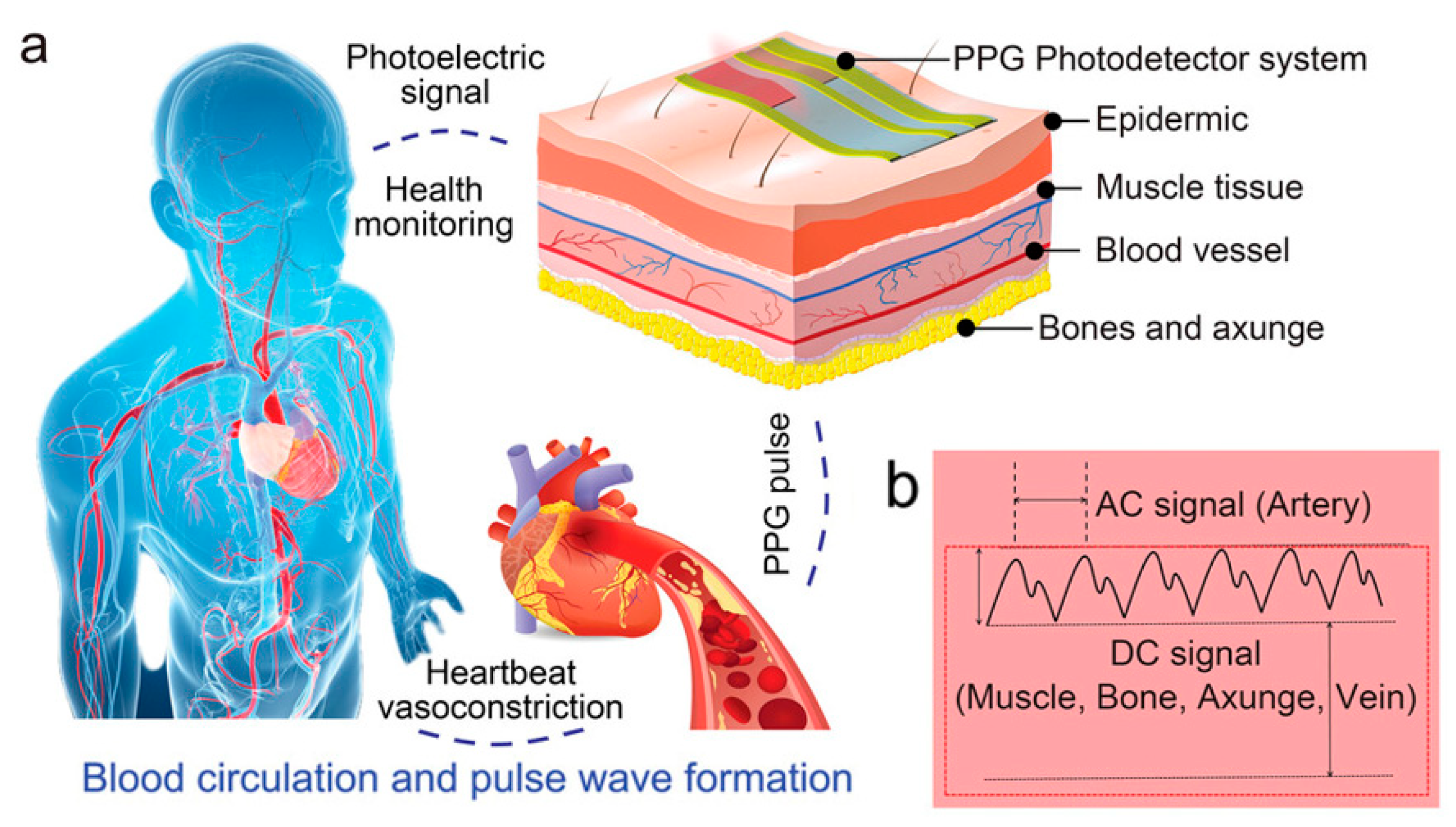 Biomimetics 10 00531 g004
