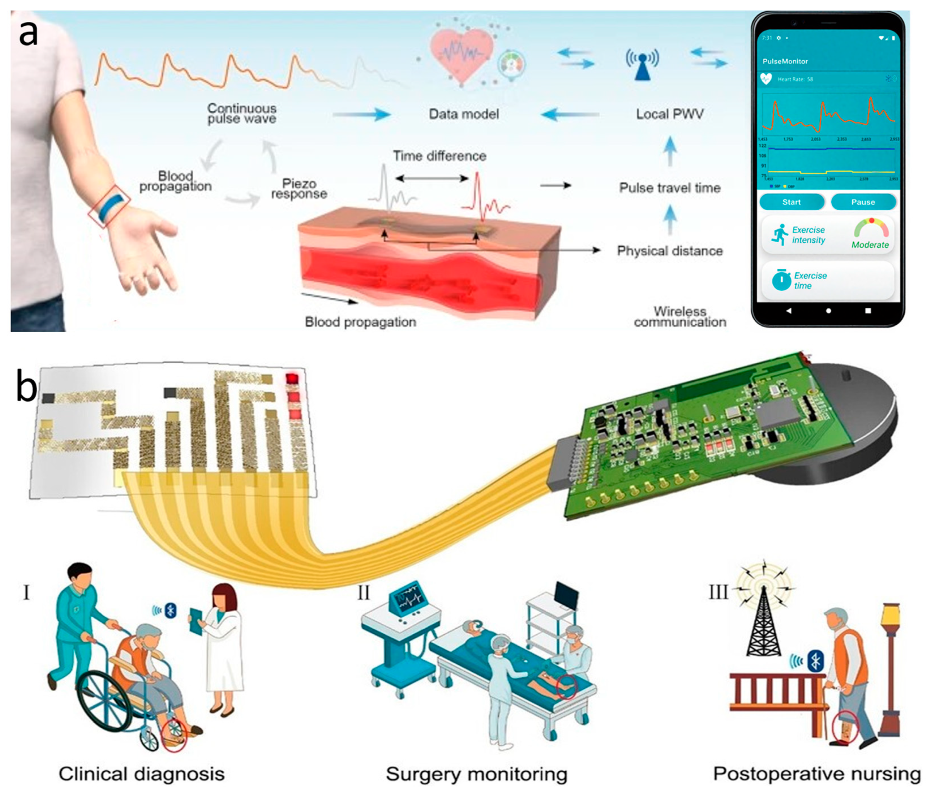 Biomimetics 10 00531 g006