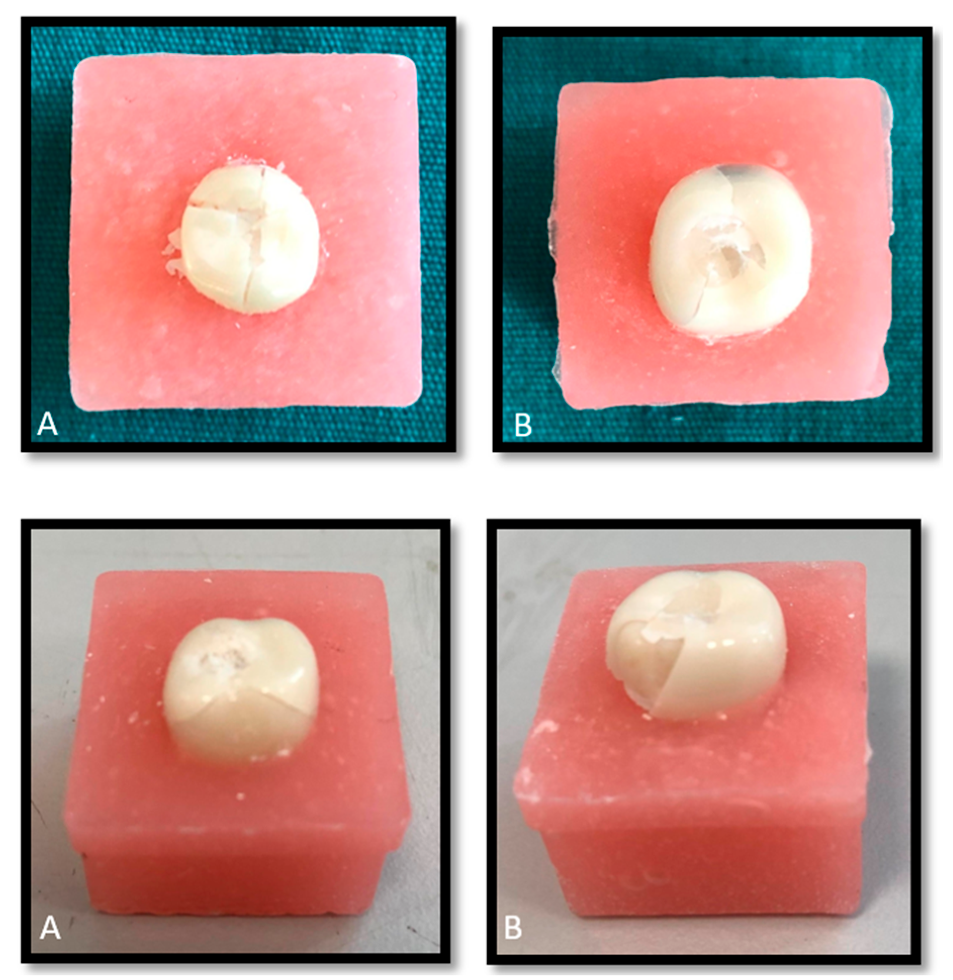 Biomimetics 10 00538 g001